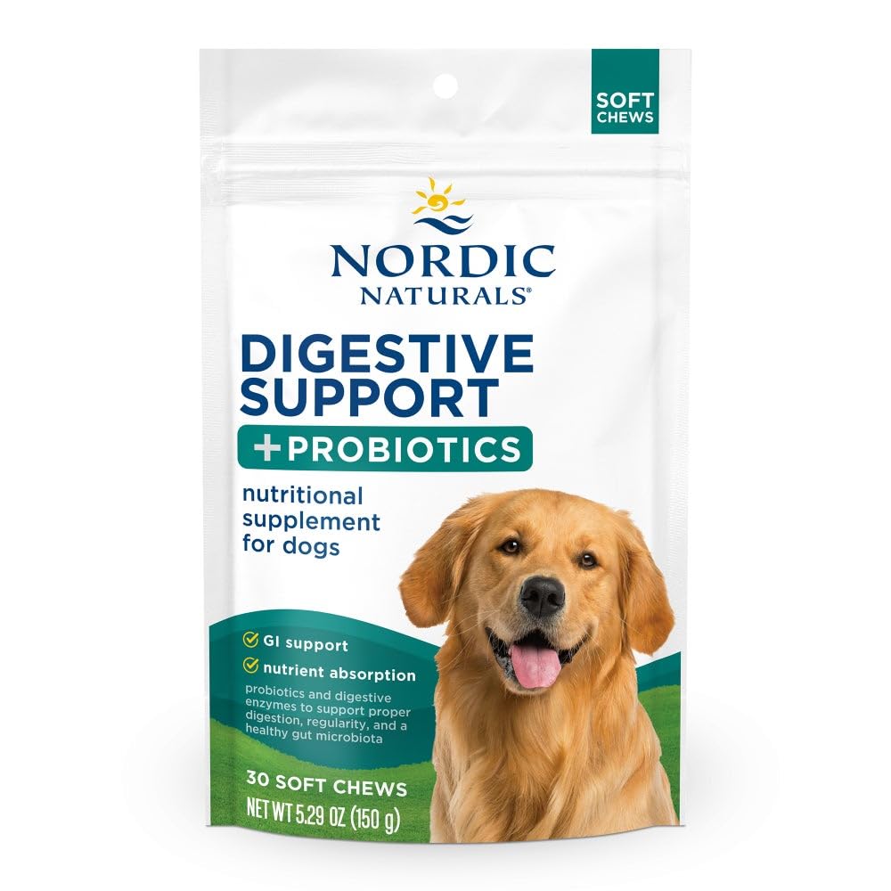 Nordic Naturals Pet Digestive Support with Probiotics, Pork Bone Broth Flavor - 30 Soft Chews - Nutritional Supplement for a Healthy Digestive System and GI Support - 30 Non-GMO Chews Nordic Naturals Au supplements
