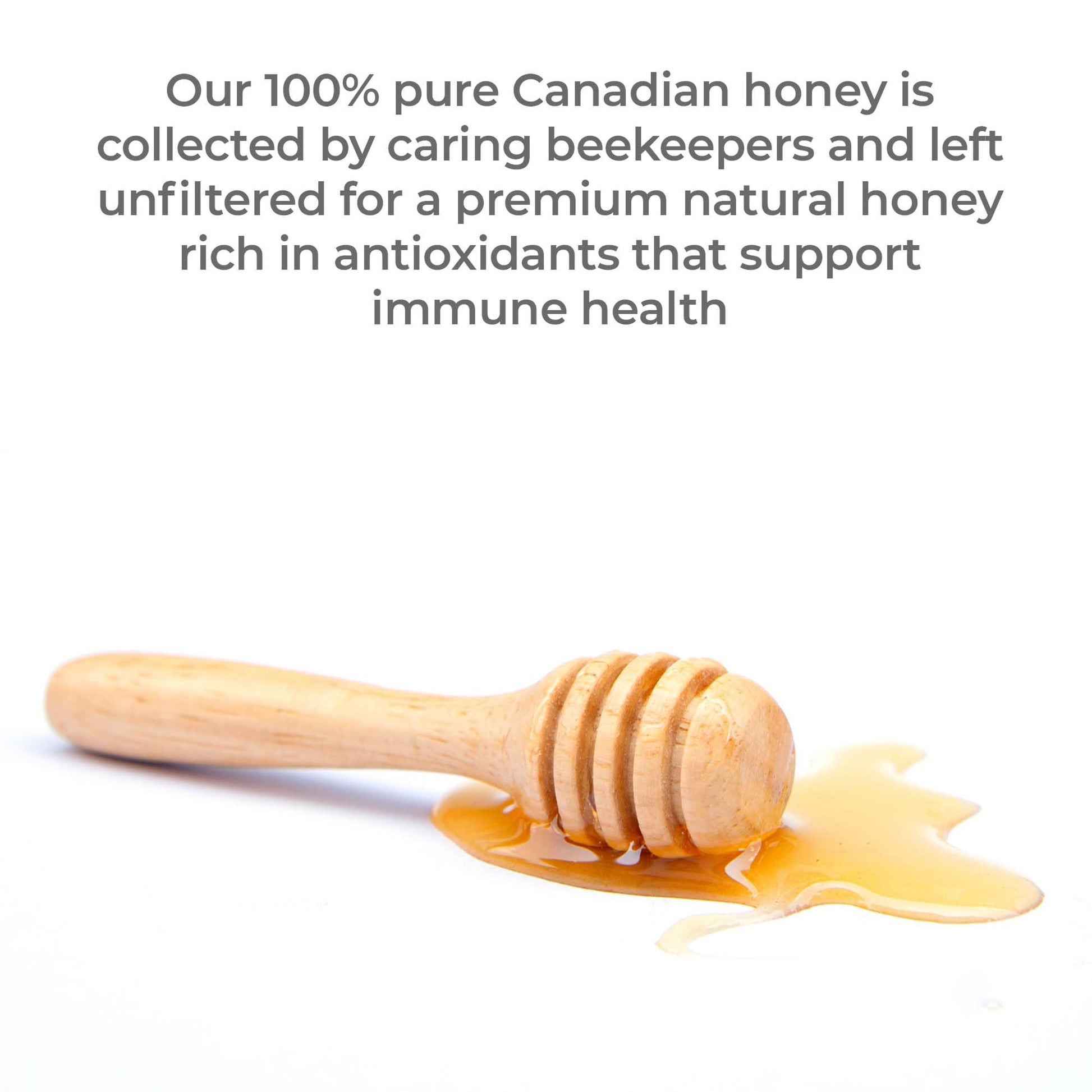 Premier Research Labs Canadian Gold Honey - Raw Honey, Pure Honey, Raw Unpasteurized Honey, Unfiltered, 100% Pure, Sugar-Free, Unprocessed Wildflower Honey - 1 lb Jar Premier Research Labs Au supplements