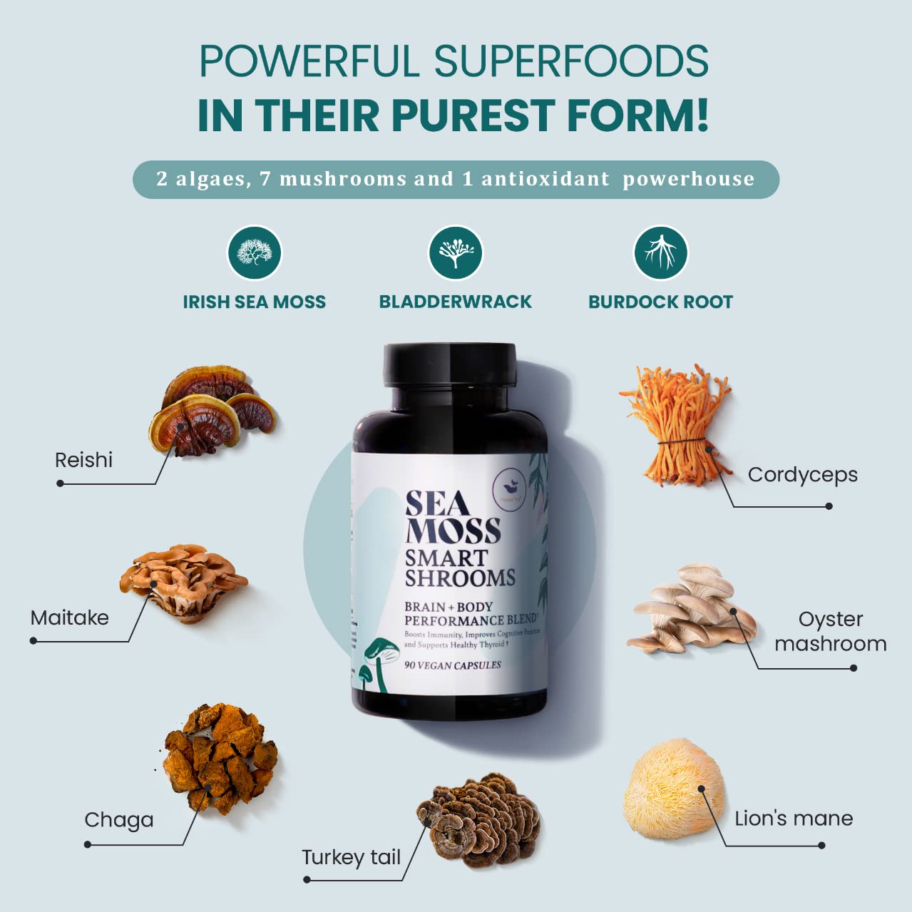 HAPPY FOX Irish Sea Moss Capsules & Mushroom Complex - Organic Seamoss with Adaptogens for Brain Health, 1500mg, 90 Vegan Capsules, Organic Mushroom Supplement HAPPY FOX Au supplements