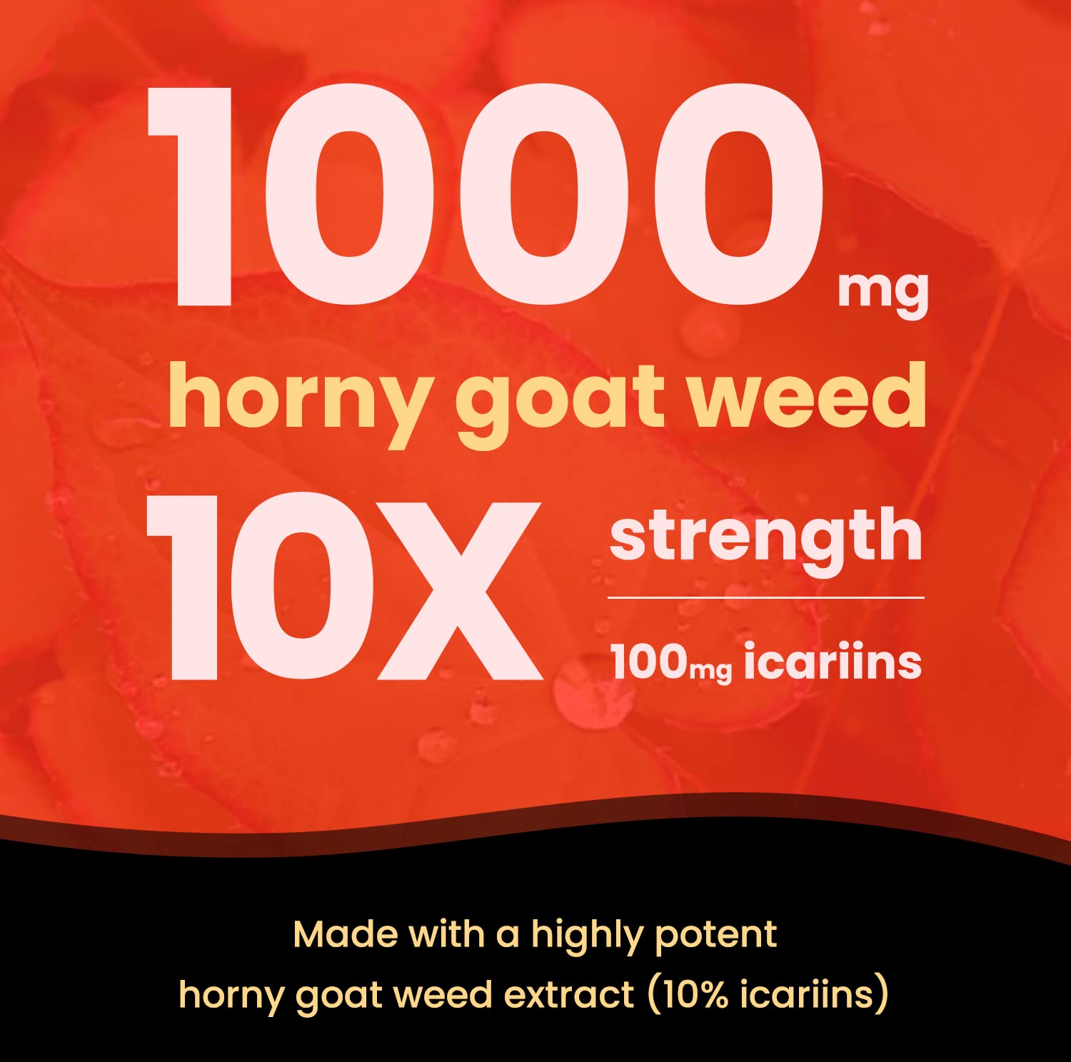 NutraChamps Horny Goat Weed, 1000mg Epimedium Energy Supplement, 10X Strength Icariin, Ginseng, Tribulus & Maca Pills for Women & Men, Enhanced Absorption with Black Pepper, 60 Vegan Capsules NutraChamps Au supplements