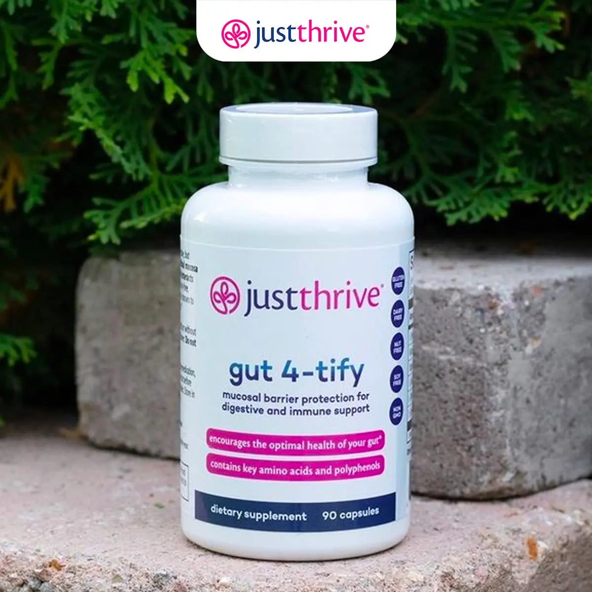 Just Thrive Gut 4-tify - Gut Health Supplements for Women and Men - Anti Bloat, 90 Vegetable Capsules Just Thrive Au supplements