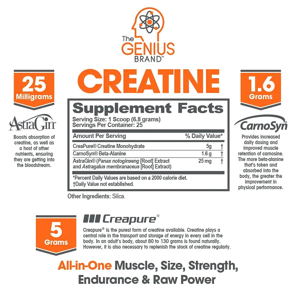 Genius Pre Workout Powder, Blue Razz, and Genius Micronized Creatine Monohydrate The Genius Brand Au supplements