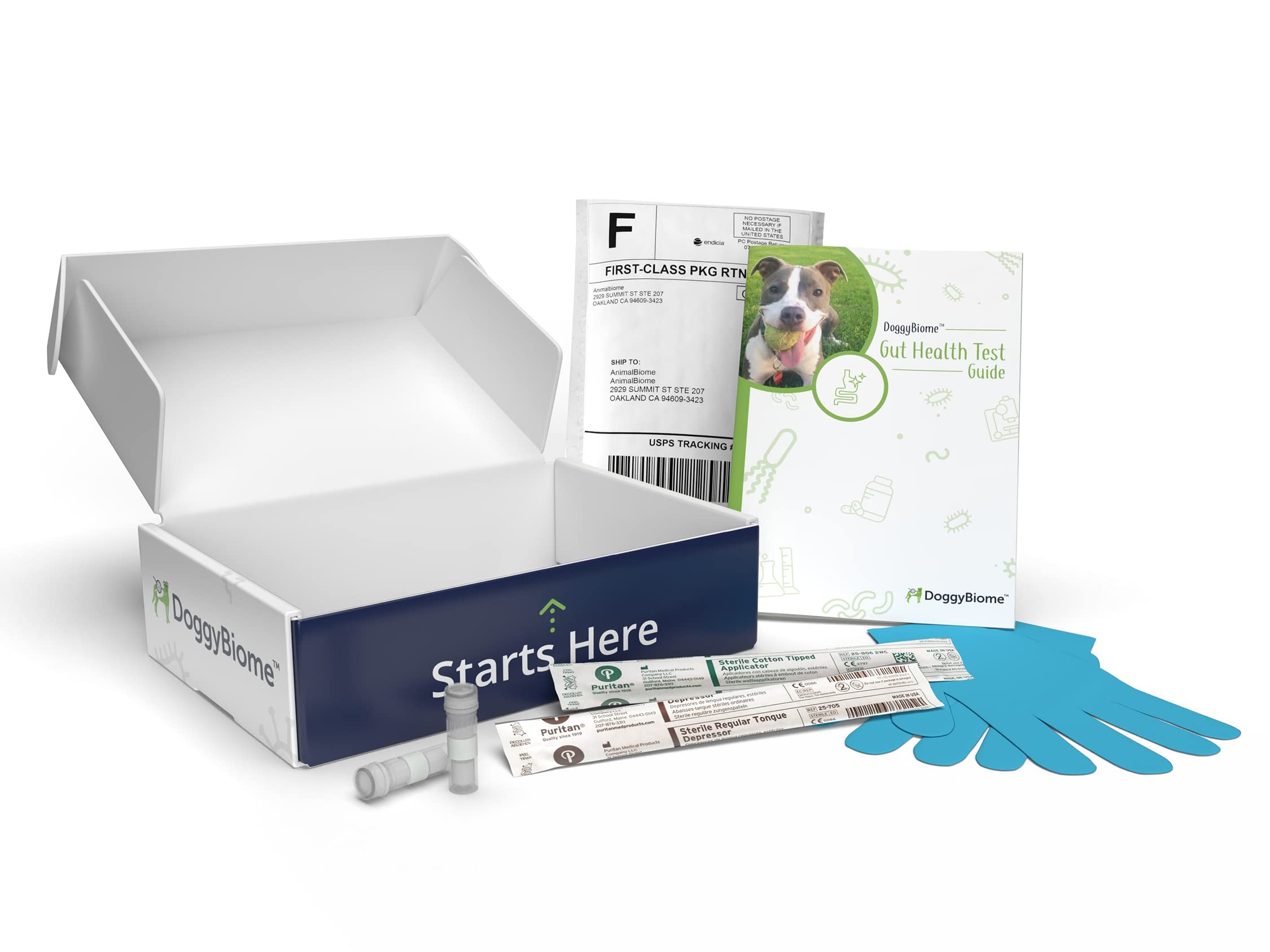 AnimalBiome Dog Gut Health Test – DoggyBiome At Home Stool Testing Kit, Canine Fecal Analysis for Digestive Issues, Diarrhea & Allergy Insights w/Personalized Report & Custom Plan (Dogs in US) AnimalBiome Au supplements