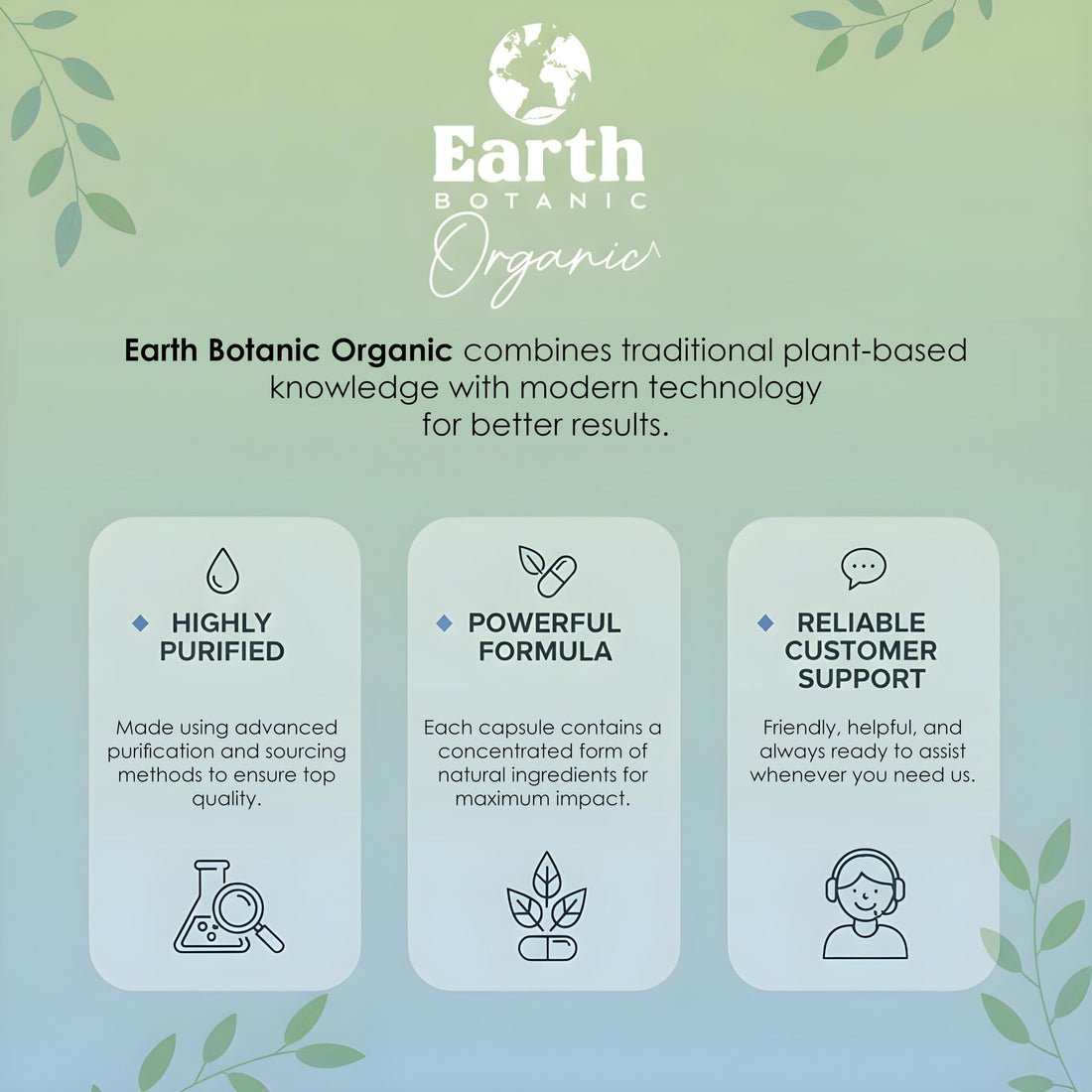 Earth BOTANIC Organic Apricot Extract, 1000 mg 120 Veggie Capsules (Vegan, Non-GMO) Herbal Supplements Earth BOTANIC Organic Au supplements