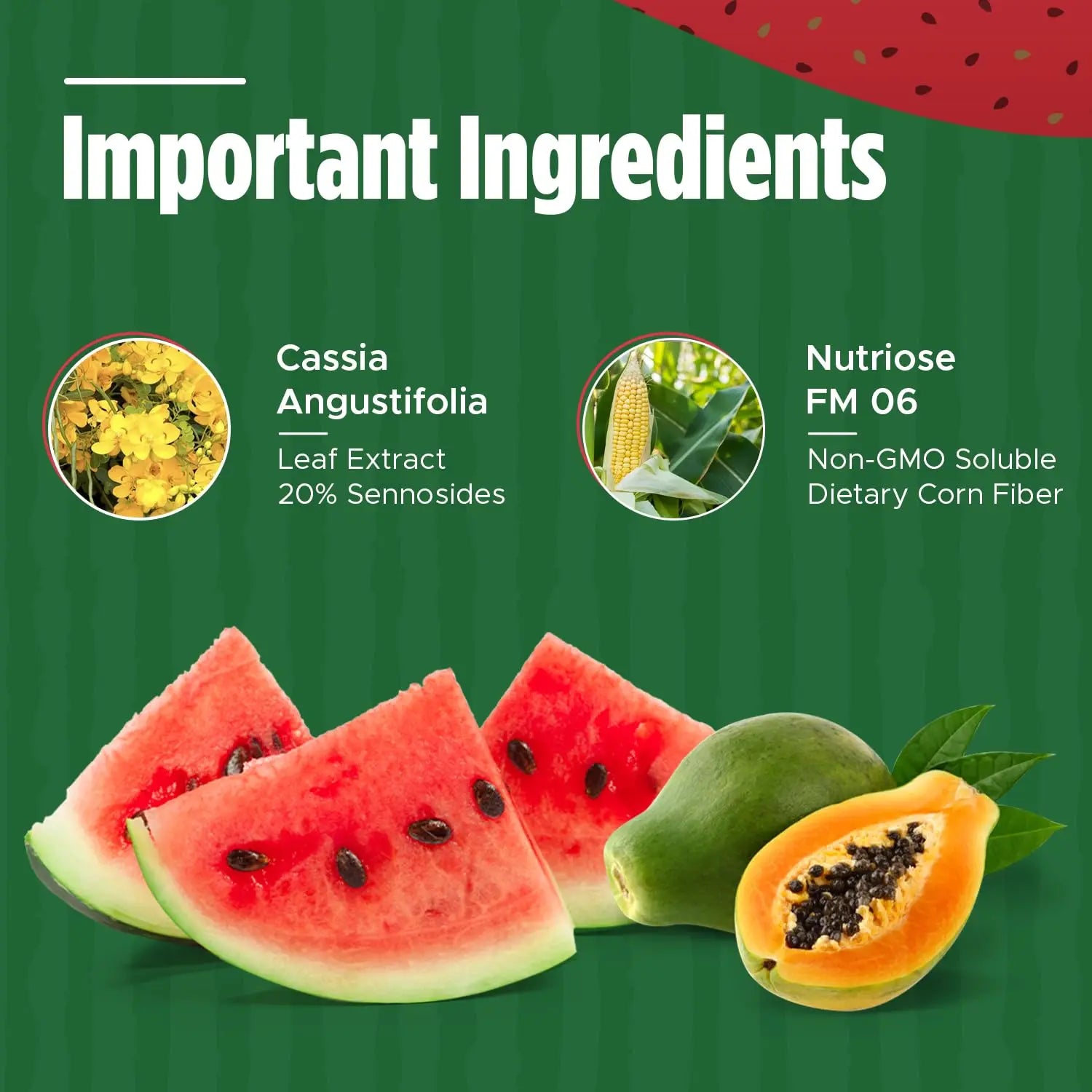Iaso Instant Tea Watermelon Flavor - 4 grams (25 Sachets) Total Life Changes Au supplements