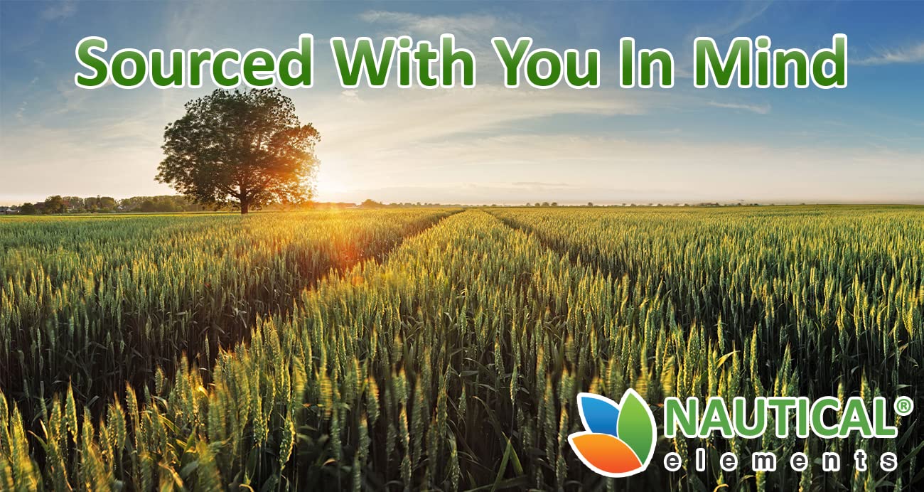 Wheatgrass Powder - USDA Certified Organic Wheat Grass Powder That Is Rich In Essential Amino Acids, Chlorophyll, Antioxidants, Fatty Acids, Minerals & Vitamins - US Grown - Vegan & Non-GMO Superfoods Nautical Elements Au supplements