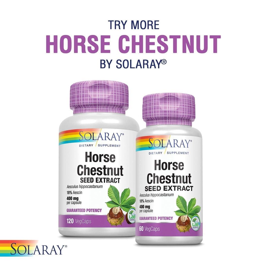 SOLARAY Circulegs - Herbal Supplements for Wellness Support w/Horse Chestnut Extract and Vitamin C, Plus Gotu Kola, Flavonoids, Hesperidin Blend - Vegan, Gluten Free, 60-Day Guarantee - 30 Servings SOLARAY Au supplements