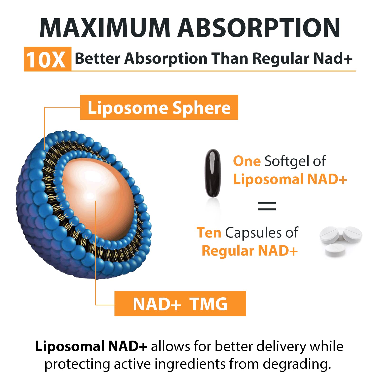 Orgabay Liposomal NAD+ Supplement 500 mg, High Absorption, Boost NAD+ with TMG 250 mg, Actual NAD Plus More Efficient Than Nicotinamide Riboside, Support Cellular Energy, Healthy Aging | 60 Softgels Orgabay Au supplements