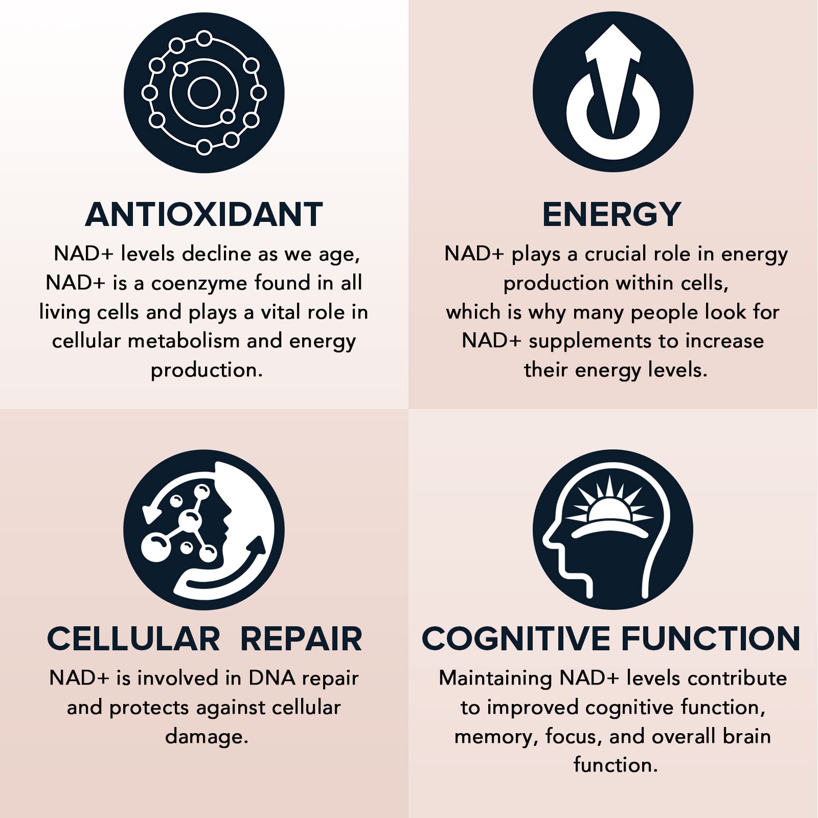 Fabamax 1600 mg Liposomal NAD Supplement, 98% Pure NAD+ Supplement, Superior Absorption, Alternative to Nicotinamide Riboside or NADH to Boost NAD+ for Aging Defense, Energy, Longevity, 120 Softgels Fabamax Au supplements