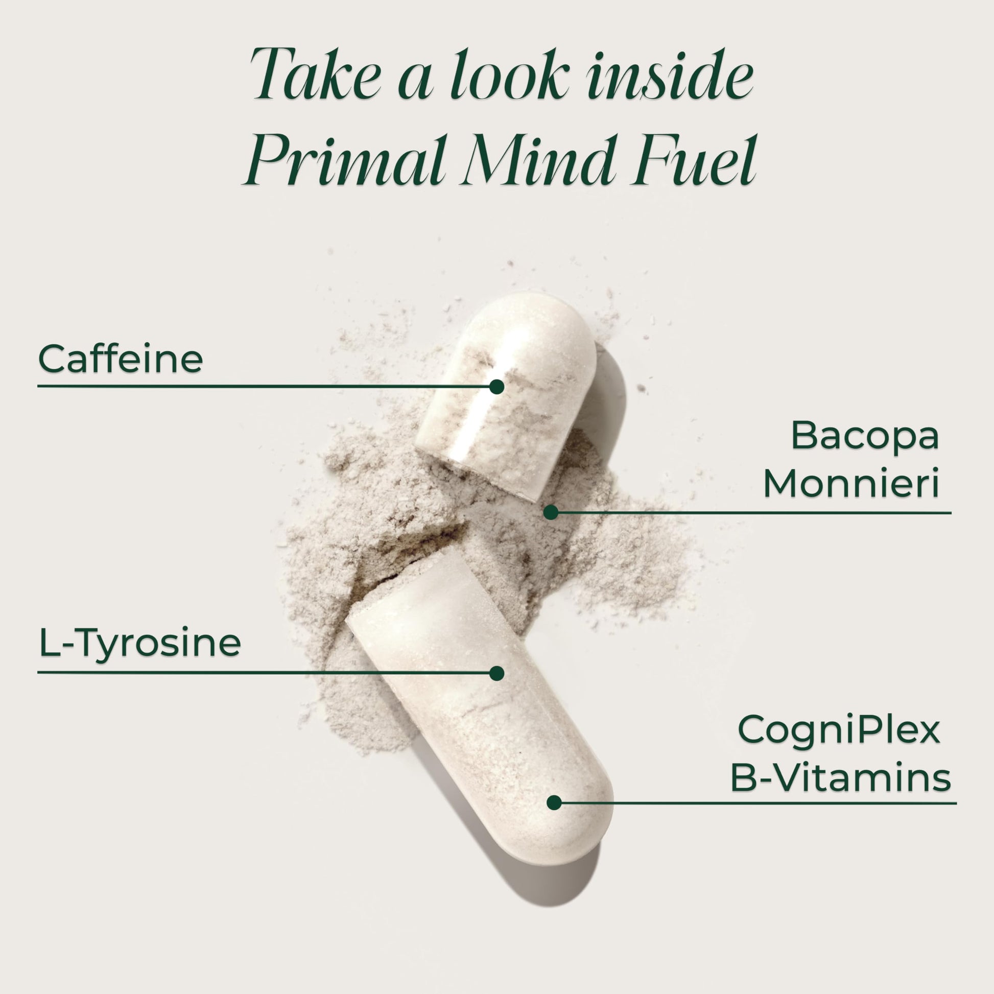 Brain Supplement by Primal Harvest, Primal Mind Fuel Brain Booster for Focus, Energy, Clarity, and Brain Health 30 Capsules Nootropics Brain Support Supplement for Men and Women Primal Harvest Au supplements