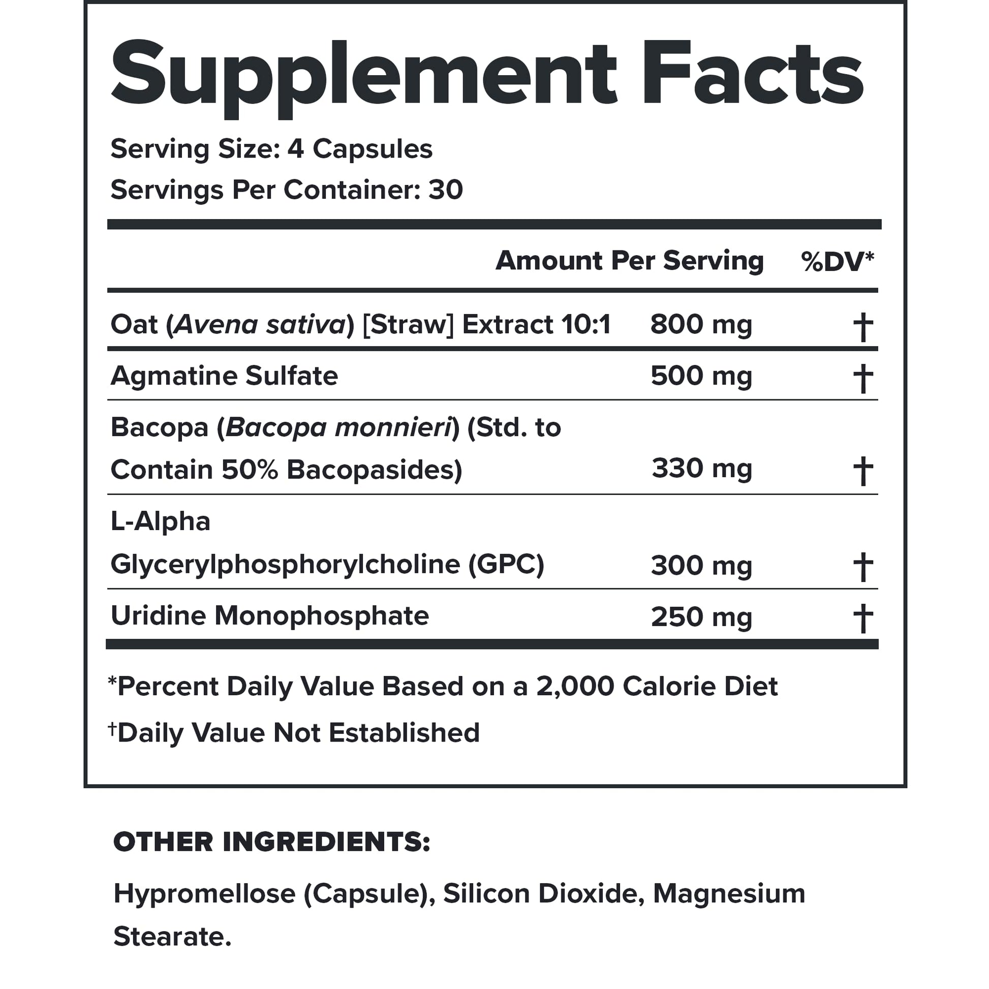 LEGION Athletics Ascend Nootropic - All-Natural Brain Supplements for Memory and Focus - Nootropics Brain Support Supplement with Alpha-GPC - Brain Supplement for Alertness & Mood Support, 30 Servings LEGION Au supplements
