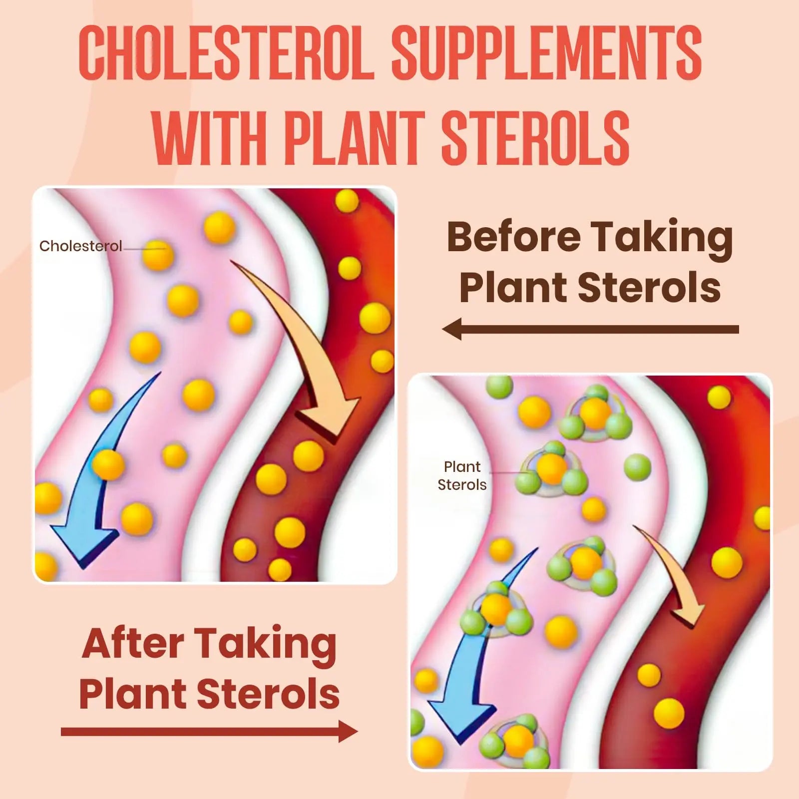 Glorithiventa Cholesterol & Booty Gummies Supplement Bundle - Plant Sterols & Stanols + CurvaBoost BBL Herb Blend & Creatine Monohydrate - Cholesterol Normal Level, Booty, Curves & Energy Glorithiventa Au supplements
