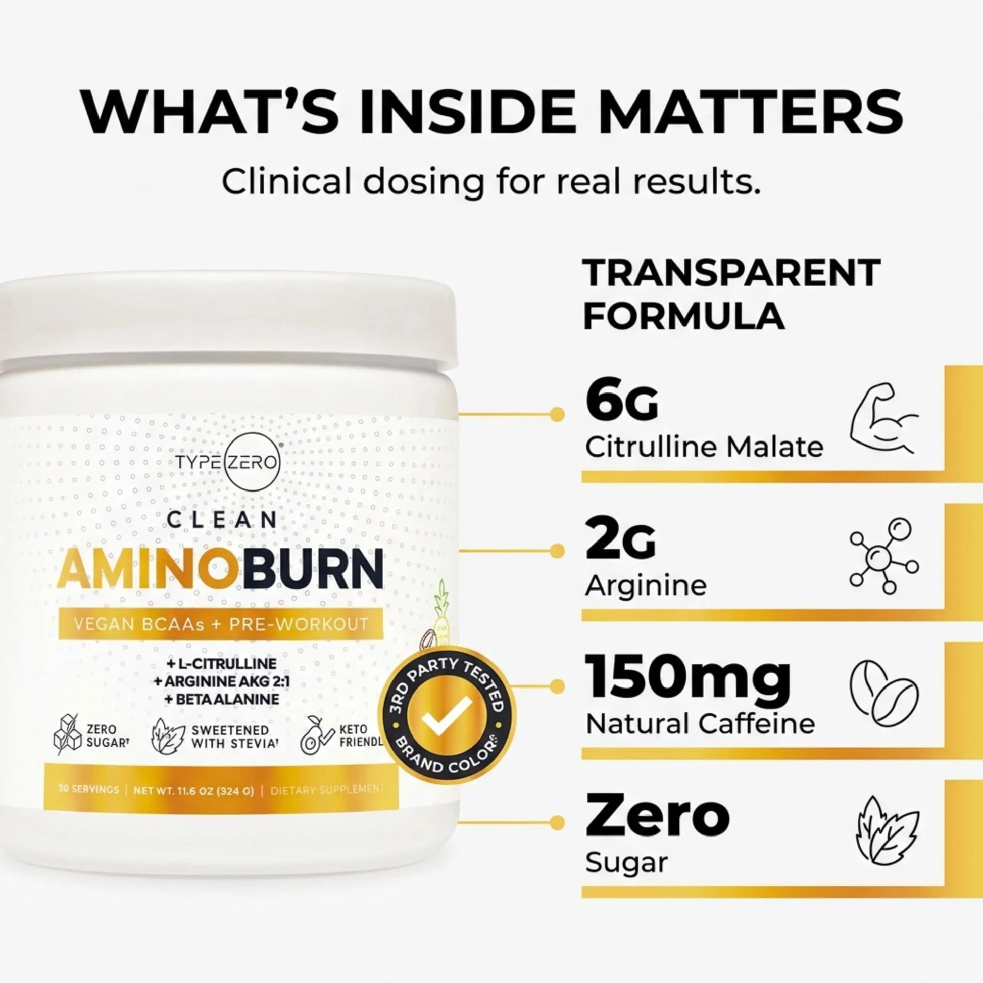 Type Zero Amino Burn Vegan BCAAs + Pre-Workout (Pina Colada Flavored) Type Zero Au supplements
