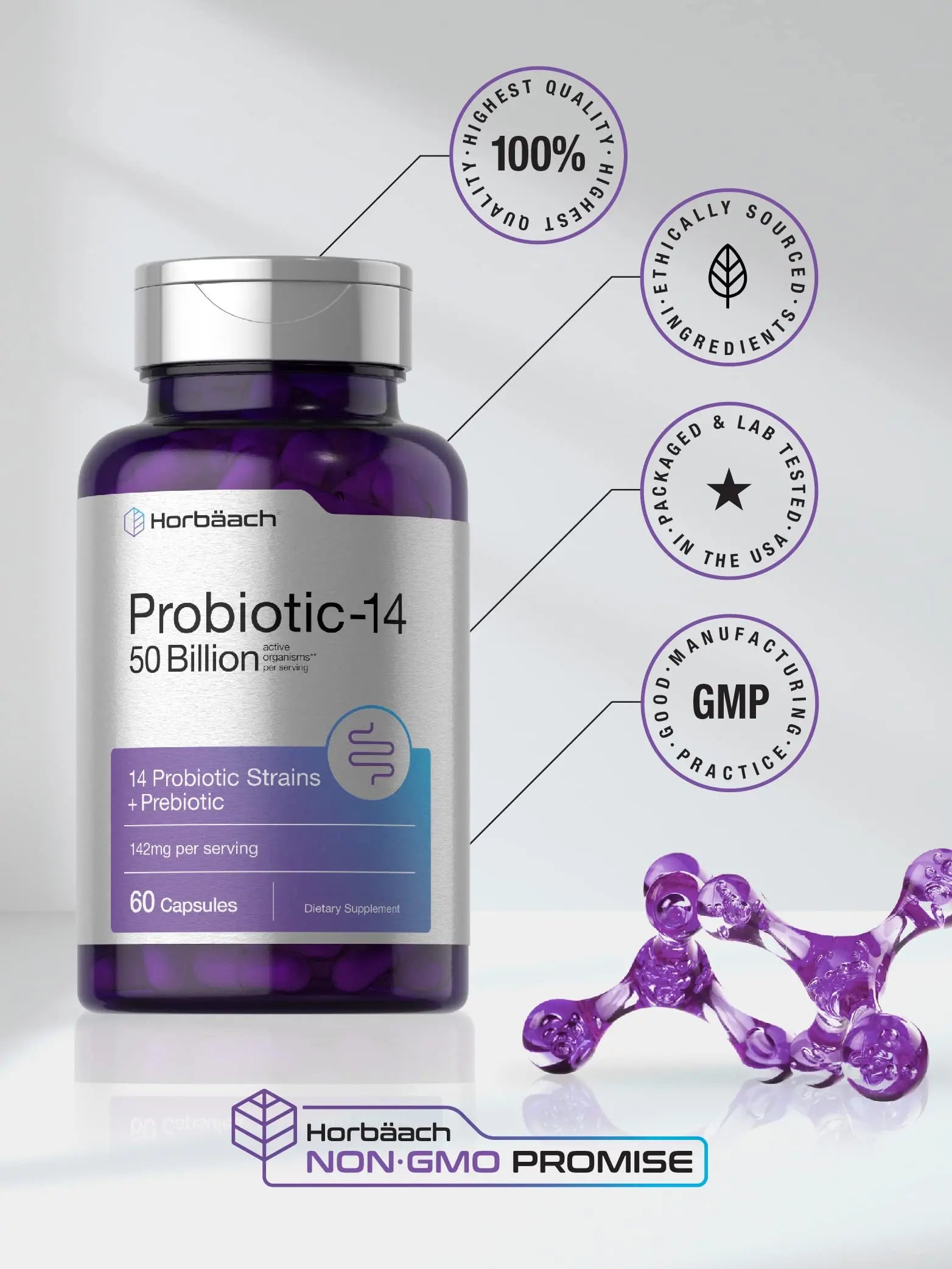Horbäach Probiotics with Prebiotics | 60 Capsules | 50 Billion Active Organisms | Non-GMO Horbäach Au supplements