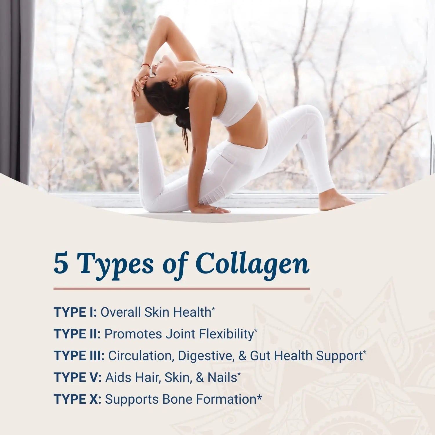 Live Conscious Beyond Collagen Multi Collagen Powder for Women w/Types I, II, III, V & X Live Conscious Au supplements