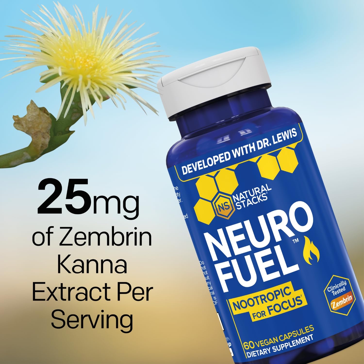 NATURAL STACKS NeuroFuel Nootropic with Zembrin - Doctor Developed Memory & Focus Supplement - Kanna Extract Sceletium Tortuosum - Nootropic Brain Supplement for Focus - 60 Zembrin Capsules NATURAL STACKS Au supplements
