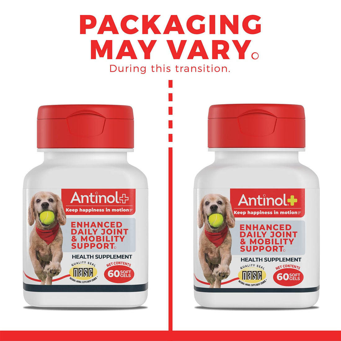 Antinol Plus, Mobility, Hip, and Joint Supplement for Dogs, Green-Lipped Mussels and Krill Oil - Dog Joint Supplement, Better and Faster Than Glucosamine and Chondroitin, 120 Soft Gels Antinol Au supplements