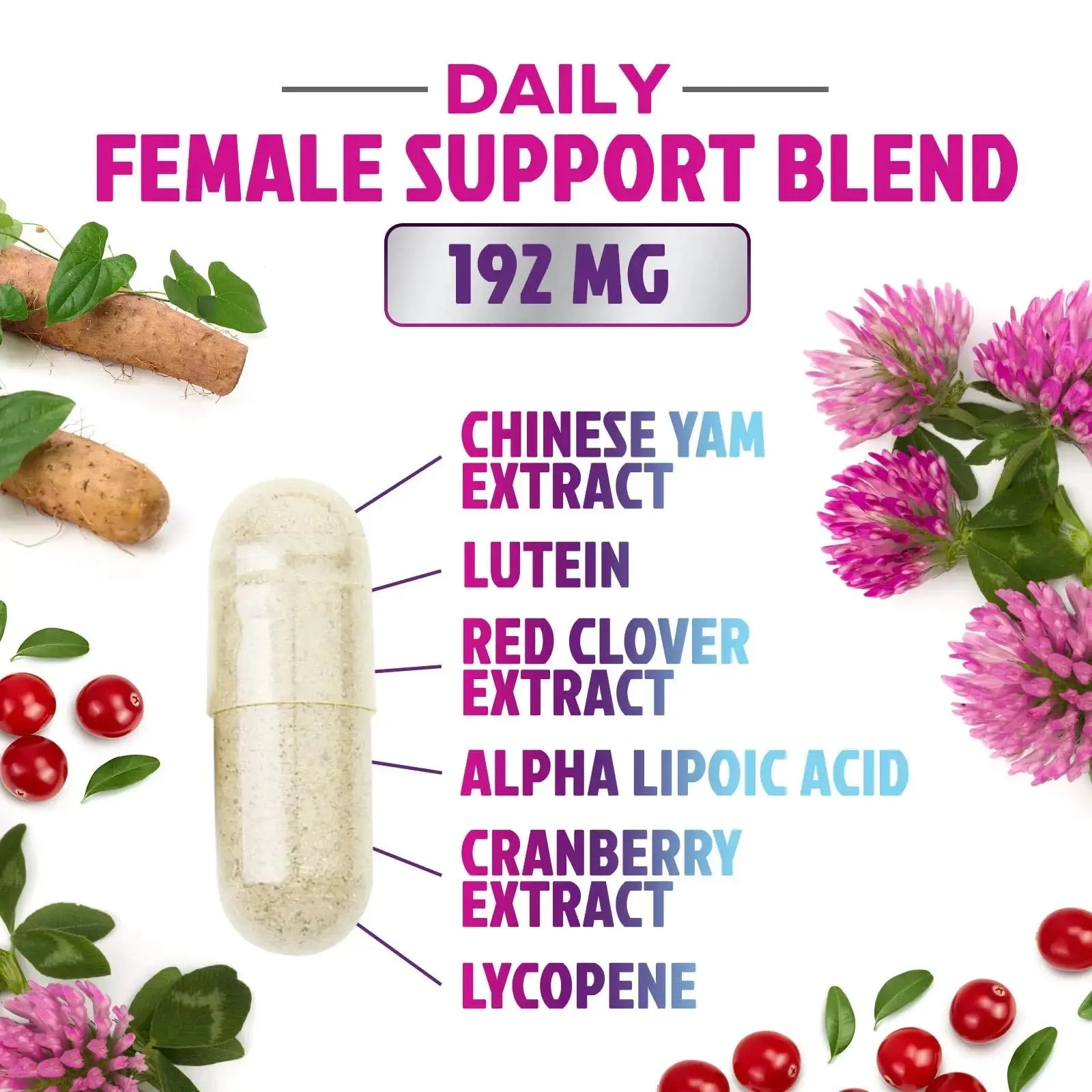 Multivitamin for Women - with Vitamins A, C, D, E, B6, B12, Zinc, Calcium & Magnesium, Womens Daily Multi Vitamin Multimineral Supplement Nature's Nutrition Au supplements