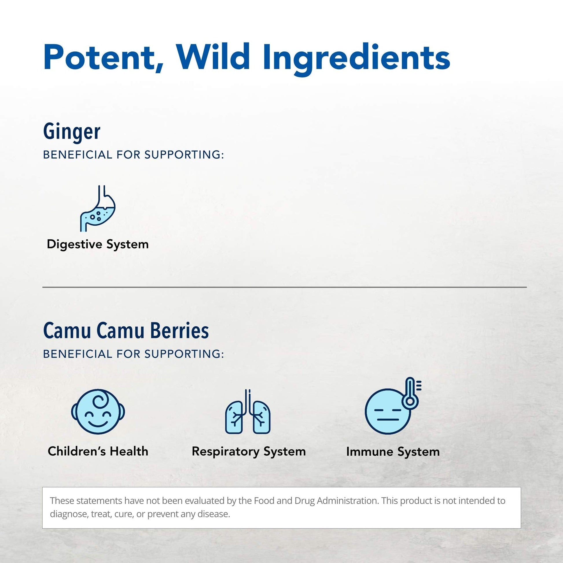 NORTH AMERICAN HERB & SPICE Inflam-eeZ - 90 Capsules - Supports Healthy Immune & Inflammatory Response - Ginger Root, Camu Camu Berries, Bromelain & Papain Plus - Non-GMO - 45 Total Servings NORTH AMERICAN HERB & SPICE Au supplements