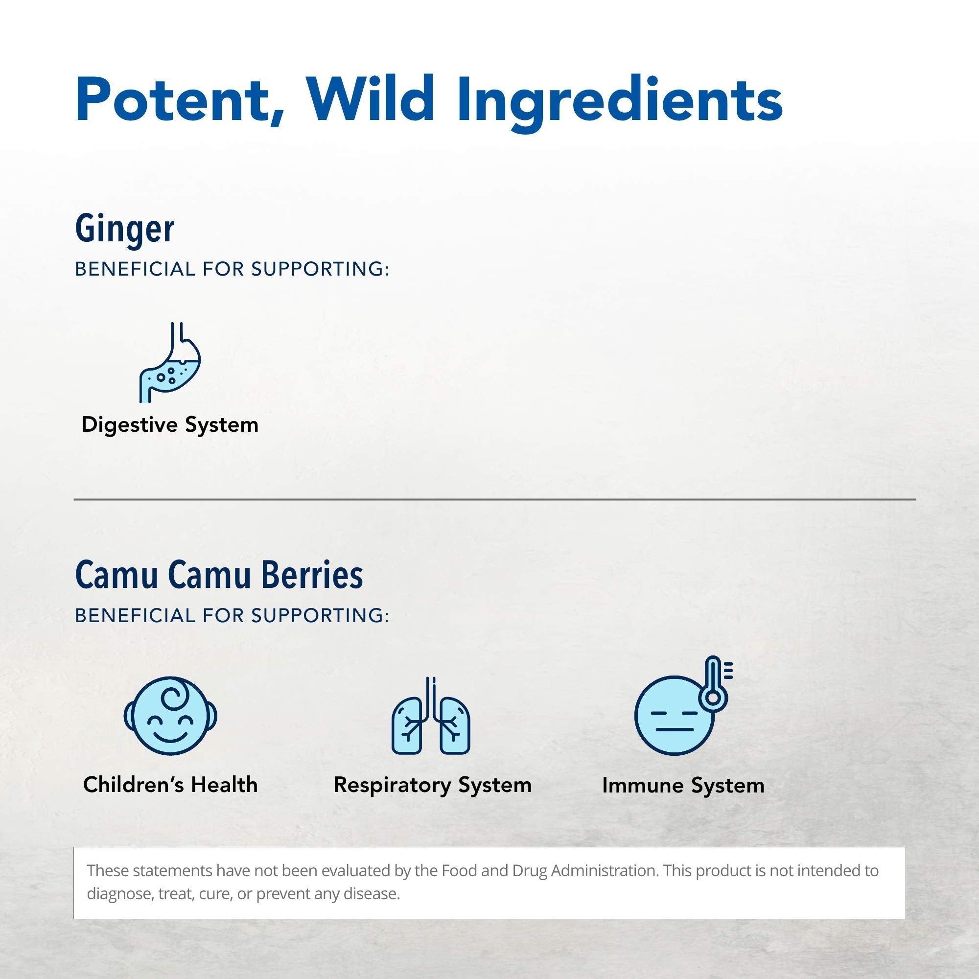 NORTH AMERICAN HERB & SPICE Inflam-eeZ - 90 Capsules - Supports Healthy Immune & Inflammatory Response - Ginger Root, Camu Camu Berries, Bromelain & Papain Plus - Non-GMO - 45 Total Servings NORTH AMERICAN HERB & SPICE Au supplements