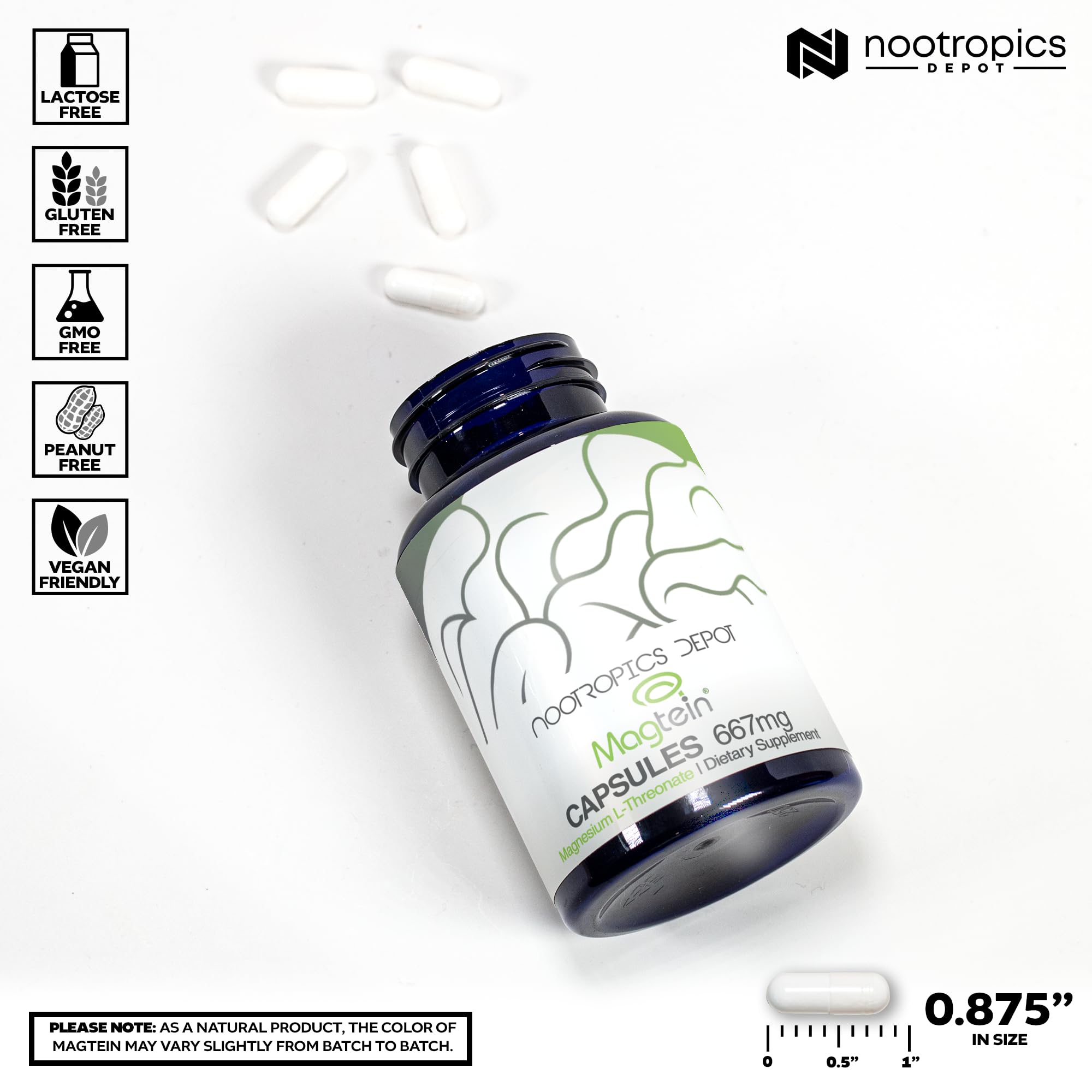 Nootropics Depot Magtein Magnesium L-Threonate Capsules | 90 Count | Mineral Supplement | Natural | Supports Mitochondrial Function | Boosts Energy and Cognitive Function Nootropics Depot Au supplements