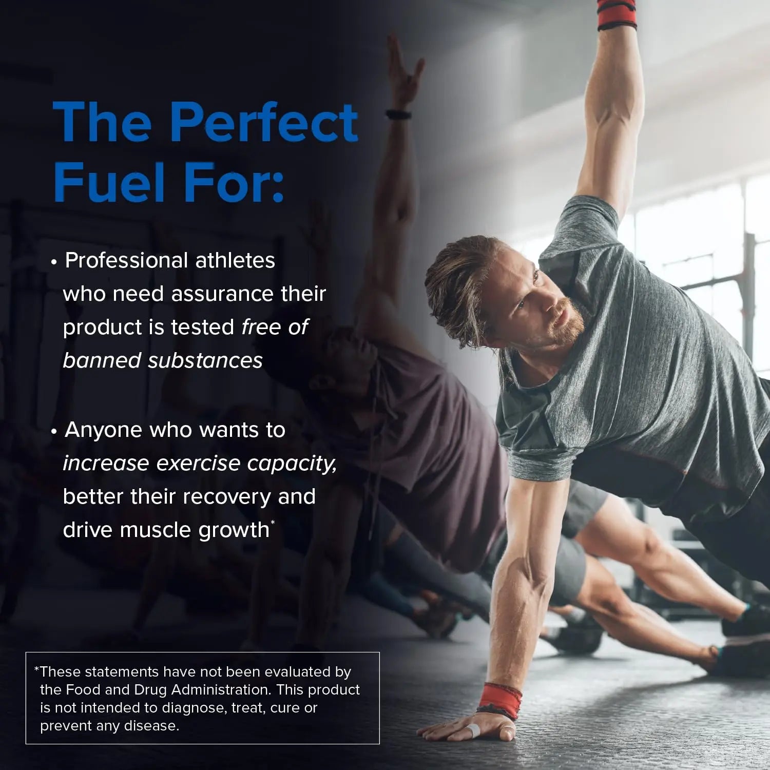 Designs for Sport Creatine Monohydrate Powder - NSF Certified for Sport Creatine Designs for Sport Au supplements