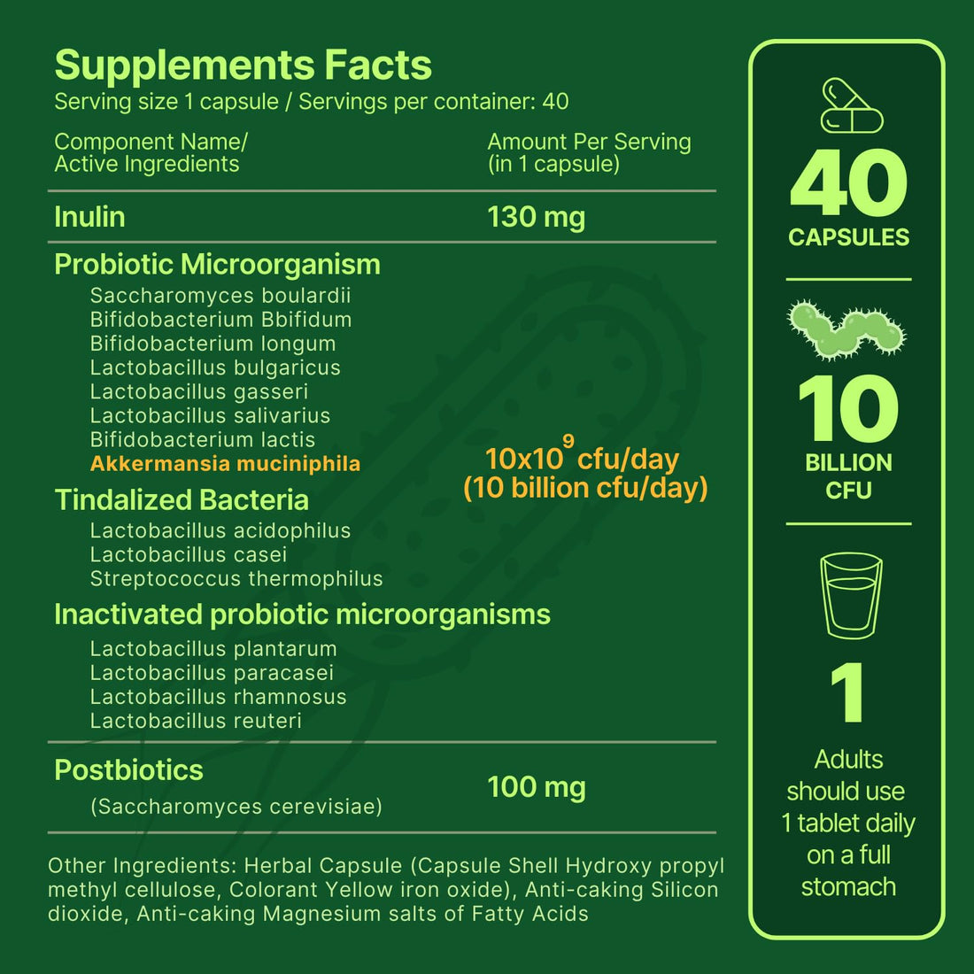 anocin Akkermansia Muciniphila + Probiotic, Postbiotic & Inulin - Gut Health Supplement for Digestion, Immune Support - 10 Billion CFU, Vegan & Gluten-Free anocin Au supplements