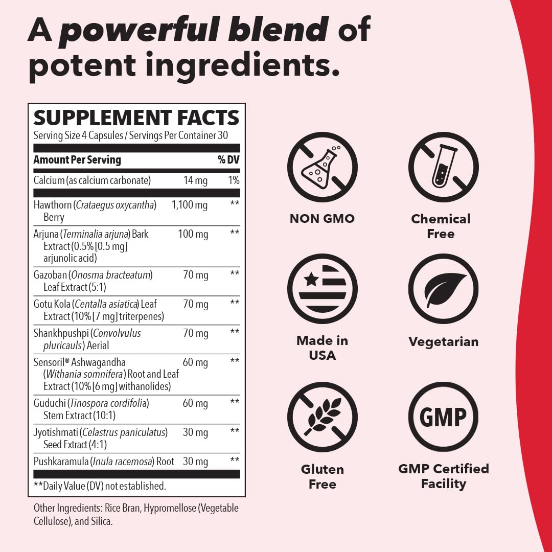 LifeSeasons B/P Stabili-T - Blood Pressure Support - Vitamin Supplement for Healthy Heart & Circulation - Ashwagandha, Arjuna & Hawthorn Berry - 240 Capsules LifeSeasons Au supplements