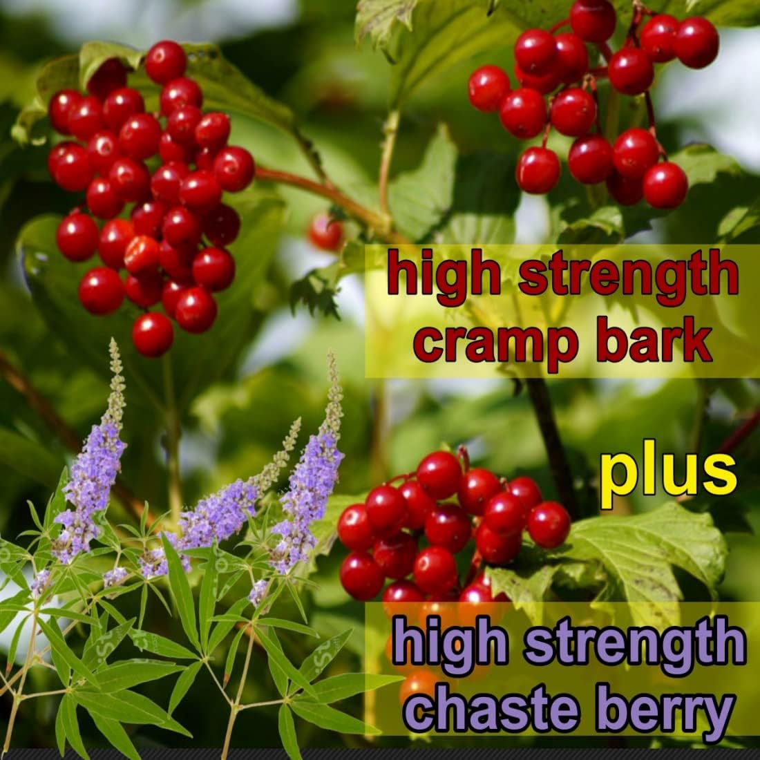 Menstrual Cramp Period Gummies True Roots | PMS Support Supplement for Women | Healthy Flow | Flo PMS Menstrual Cycle Relief, Cramping and Bloating | Vegan & Natural Flavors | 60 Count True Roots Au supplements