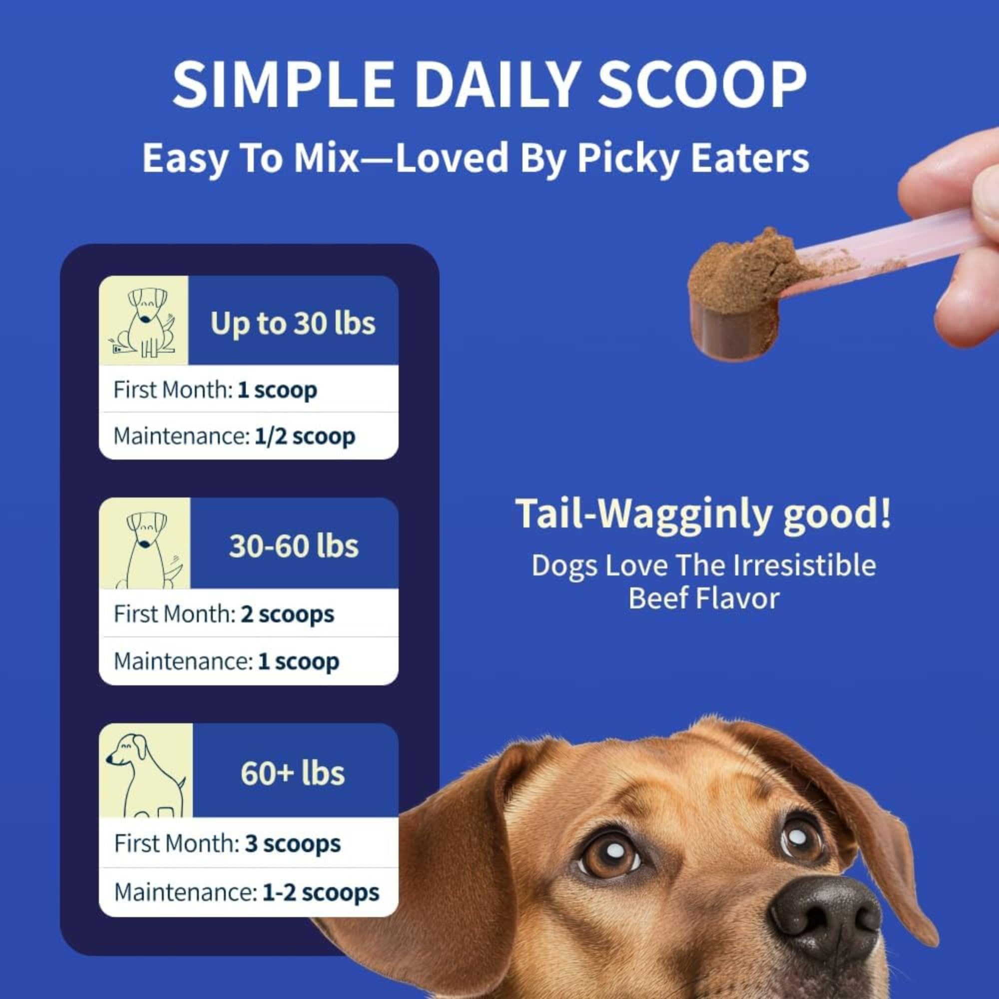Fifth & Fido Joint Supplement for Dogs - Glucosamine for Dogs - Pet Vitamins and Supplements Powder with Chondroitin & MSM - Hip & Joint Support for Mobility, Stiffness & Flexibility - Mushroom Blend Fifth & Fido Au supplements