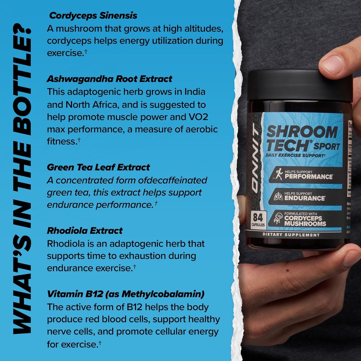 ONNIT Cognitive & Endurance Support Bundle: Alpha Brain Nootropic Capsules (30 Count) + Shroom Tech Sport Exercise Support Capsules (28 Count), IGEN Non-GMO Tested Focus, Energy & Endurance, 2 Pack ONNIT Au supplements