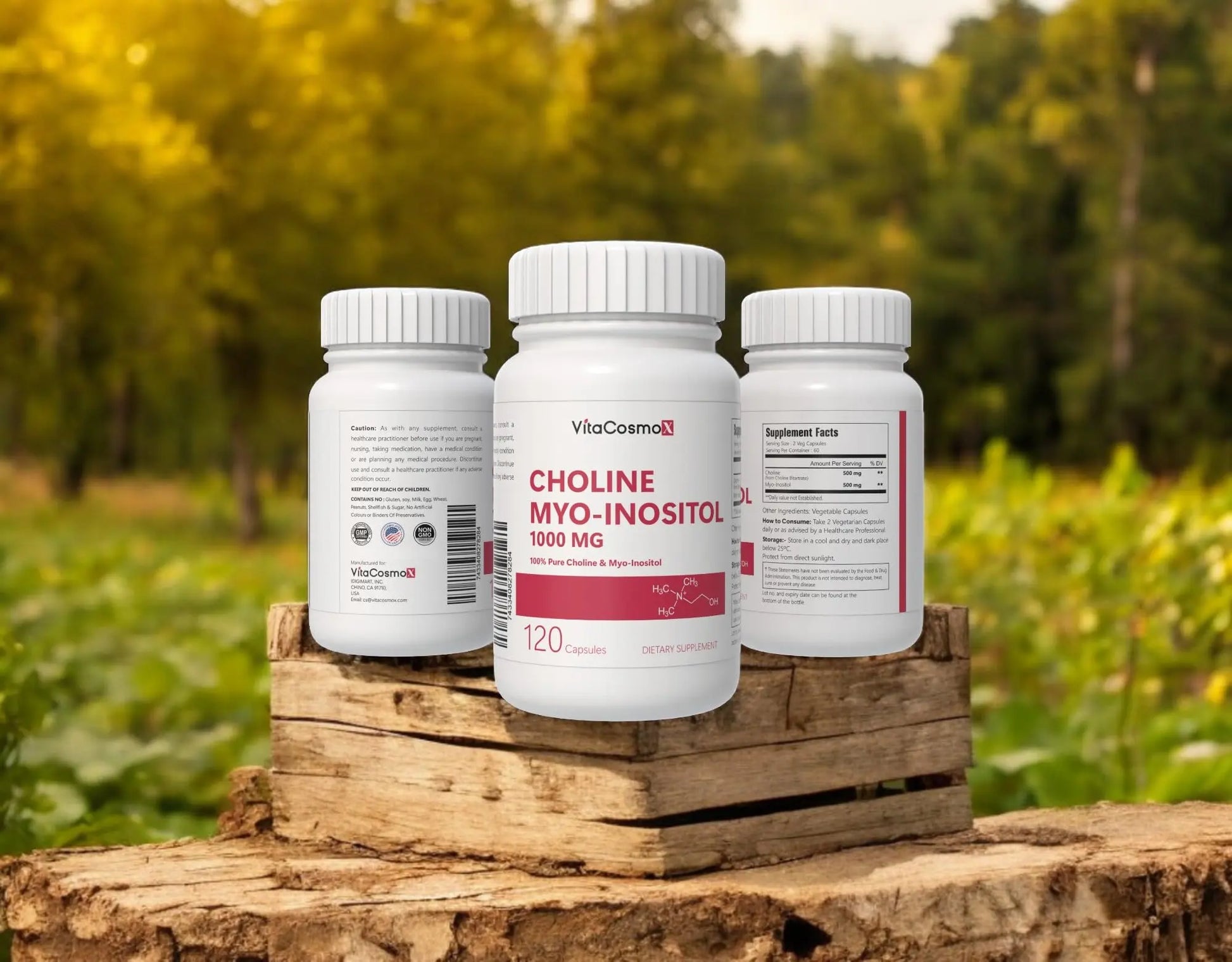 VitaCosmoX Choline and Myo-Inositol Supplement, 1000 mg Each, 120 Veggie Capsules 100% Vegetarian, Non-GMO & Gluten Free VitaCosmoX Au supplements