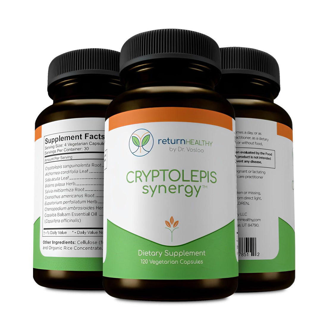 Return Healthy Cryptolepis Synergy, Immune Support Vitamins, Immune System Booster for Adults, Liver, Lymphatic, & Immune Support Supplement, Supports Lyme & Natural Parasite Defense, 120 Capsules Return Healthy Au supplements