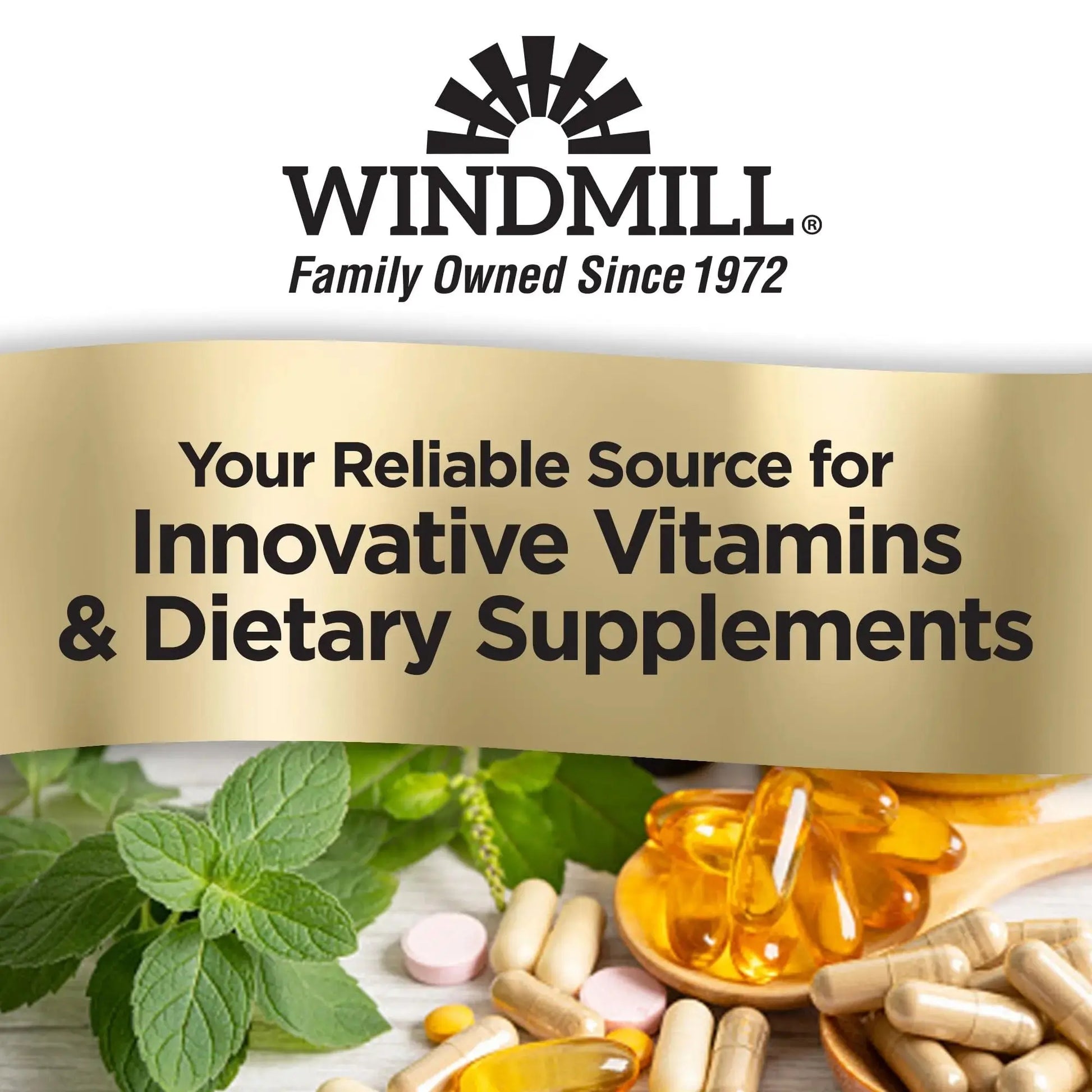 Windmill Natural Vitamins Men’s Multi 50+, with Vitamin D3, Mens Multivitamins for Daily Nutritional Support, Multivitamin for Men, 180 Tablet, 180 Day Supply Windmill Au supplements