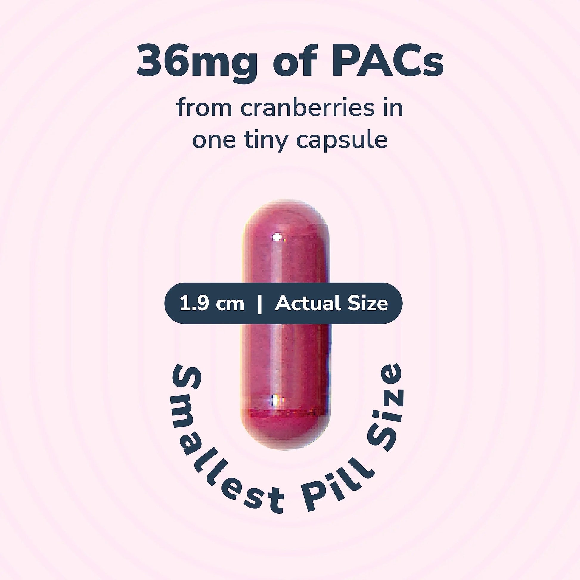 20% Bundle Utiva Cranberry PACs 30 Vegi Capsules Cranberry Supplement for Urinary Tract Health for Women and Men + Utiva D-Mannose 500mg 120 Capsules Naturally Flush The Bladder and Urinary Tract Szio+ Au supplements
