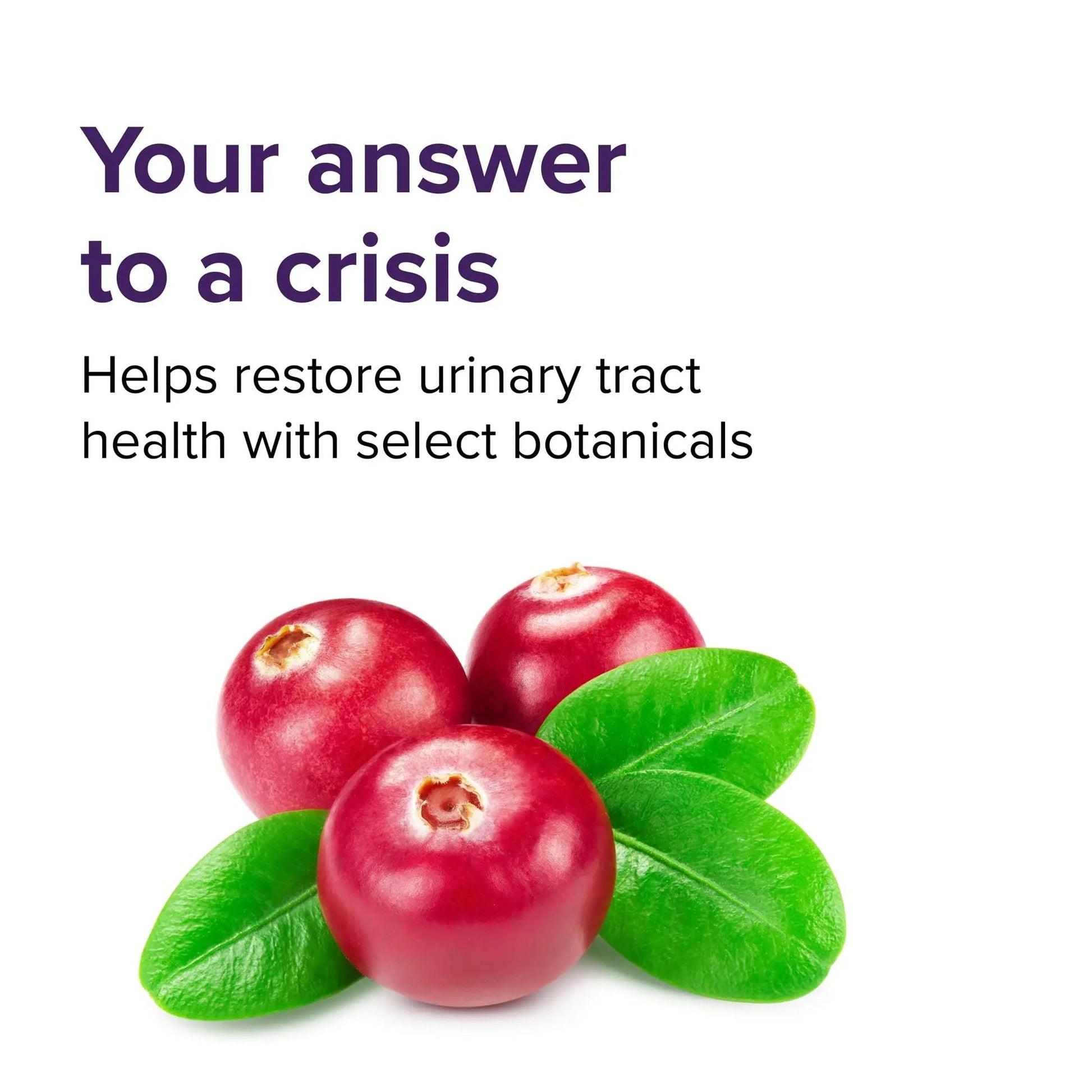 Vibrant Health, U.T. Vibrance Stick Packs, Crisis Intervention for Urinary Tract Health, 10 Servings Vibrant Health Au supplements