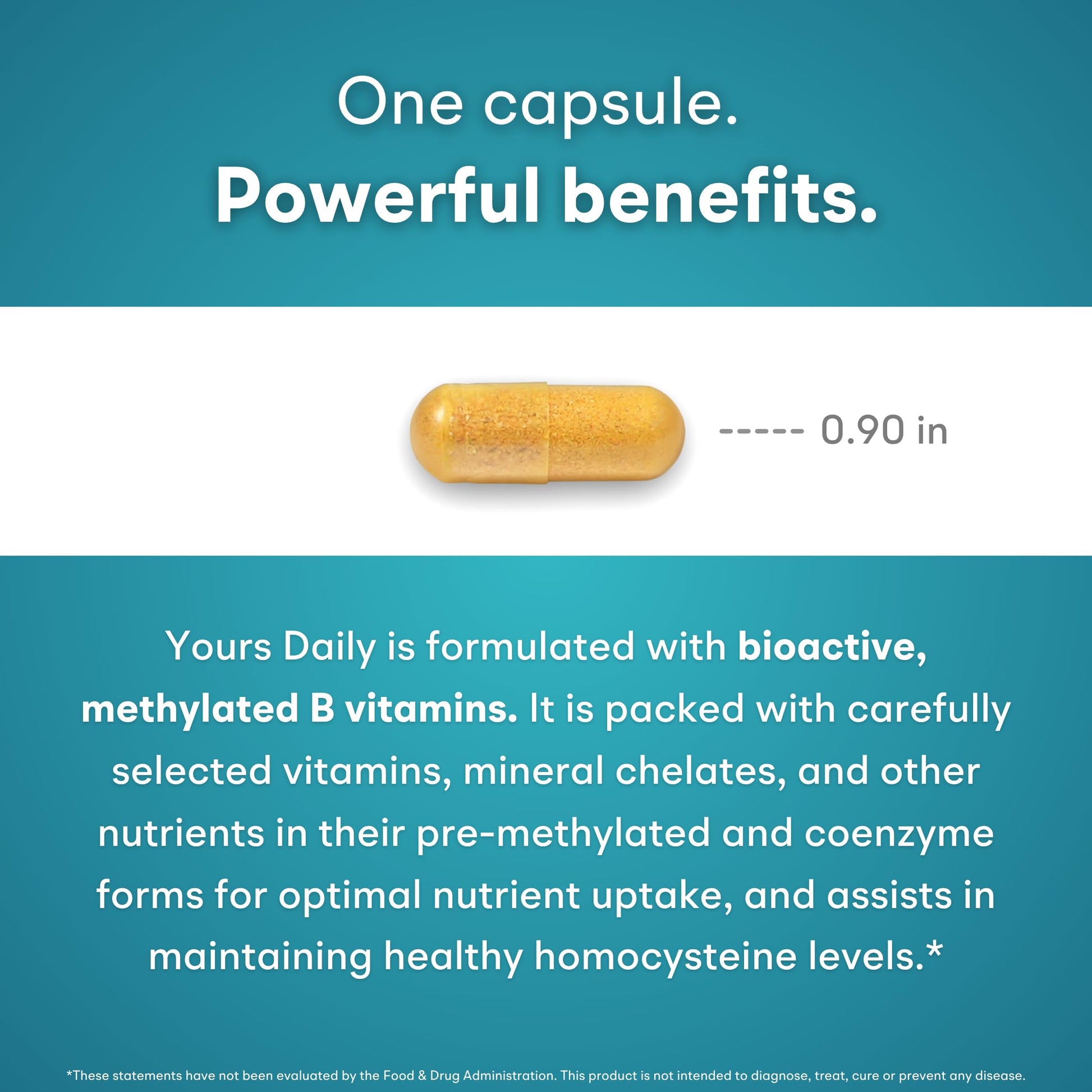 You Vites - Methylated Multivitamin for Men and Women, Methyl Multi Without Iron - 60 Capsules, MTHFR Supplement with Methyl B12, Methylfolate (5-MTHF), CoQ10 for Energy, Heart and Mood Support You Vites Au supplements
