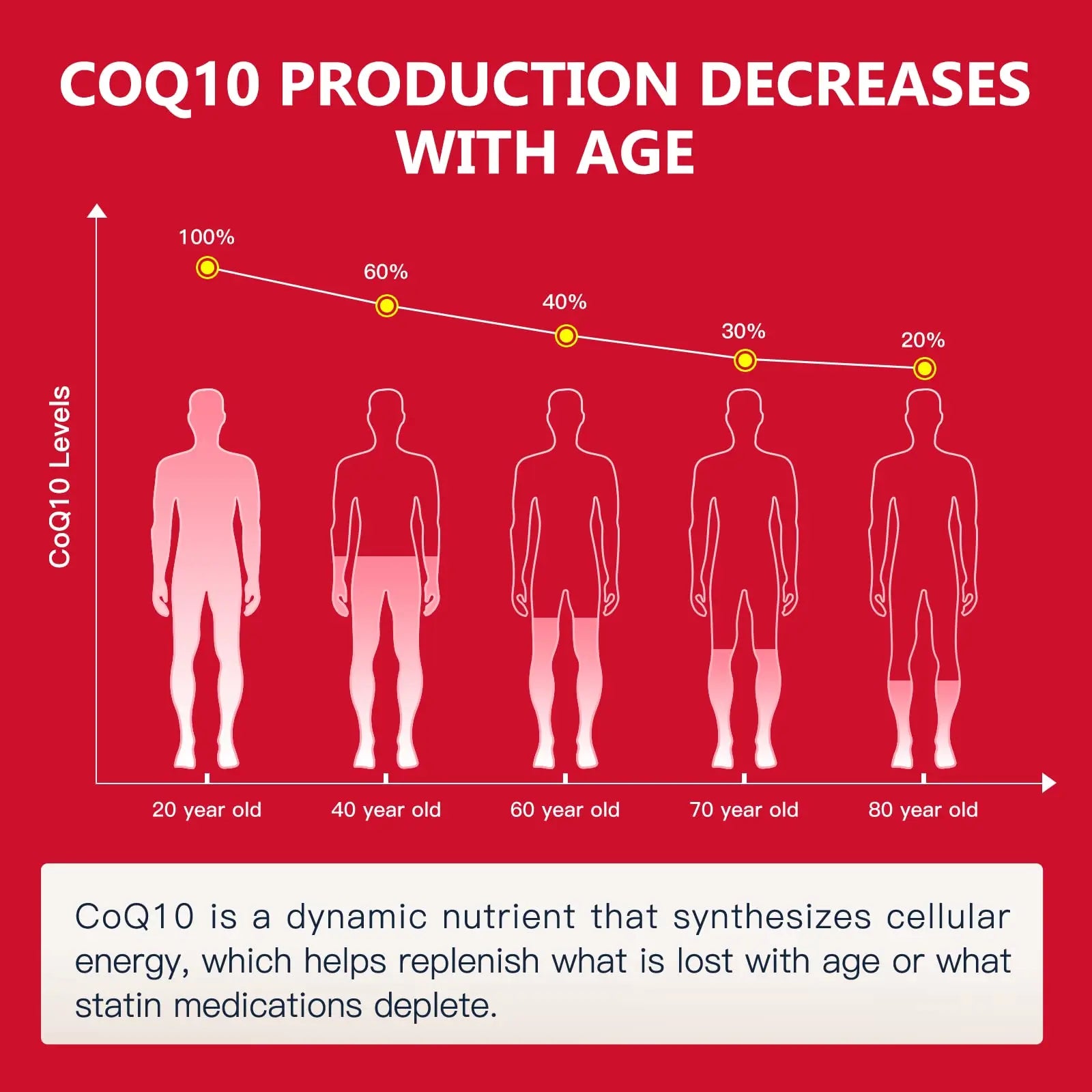 NATURE TARGET CoQ10-300mg-Softgels + PQQ with Organic-Olive-Oil - High Absorption NATURE TARGET Au supplements