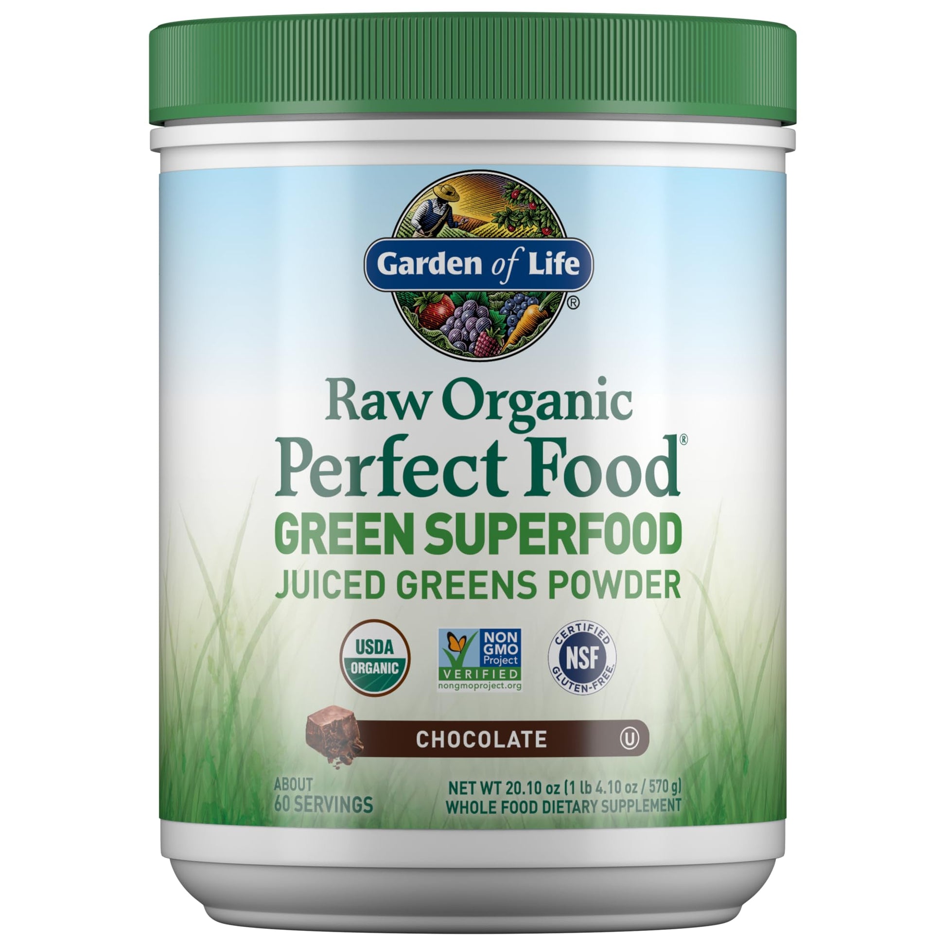 Garden of Life Raw Organic Perfect Food Green Superfood Juiced Greens Powder - Chocolate, 60 Servings, Non-GMO, Gluten Free, Vegan Whole Food Dietary Supplement Plus Probiotics, Enzymes Garden of Life Au supplements