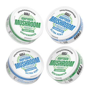 Adaptogen Mushroom Nootropic Pouches (4 Pack Bundle) - 250mg Mushroom Blend + 165mg Energy Blend, Nicotine Free & Caffeine Free, Ultra Pouch with Lion's Mane, Cordyceps, Reishi, Alpha-GPC, L-Theanine GGGJ Au supplements