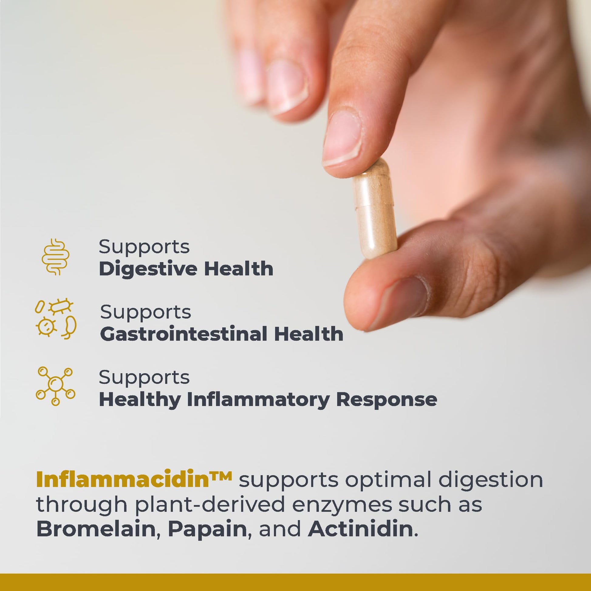 Premier Research Labs Inflammacidin - Digestive Enzymes, Papain from Papaya, and Bromelain Enzymes for Digestion, Plant Enzymes for Women & Men, Vegan Friendly - 90 Vegetarian Capsules Premier Research Labs Au supplements