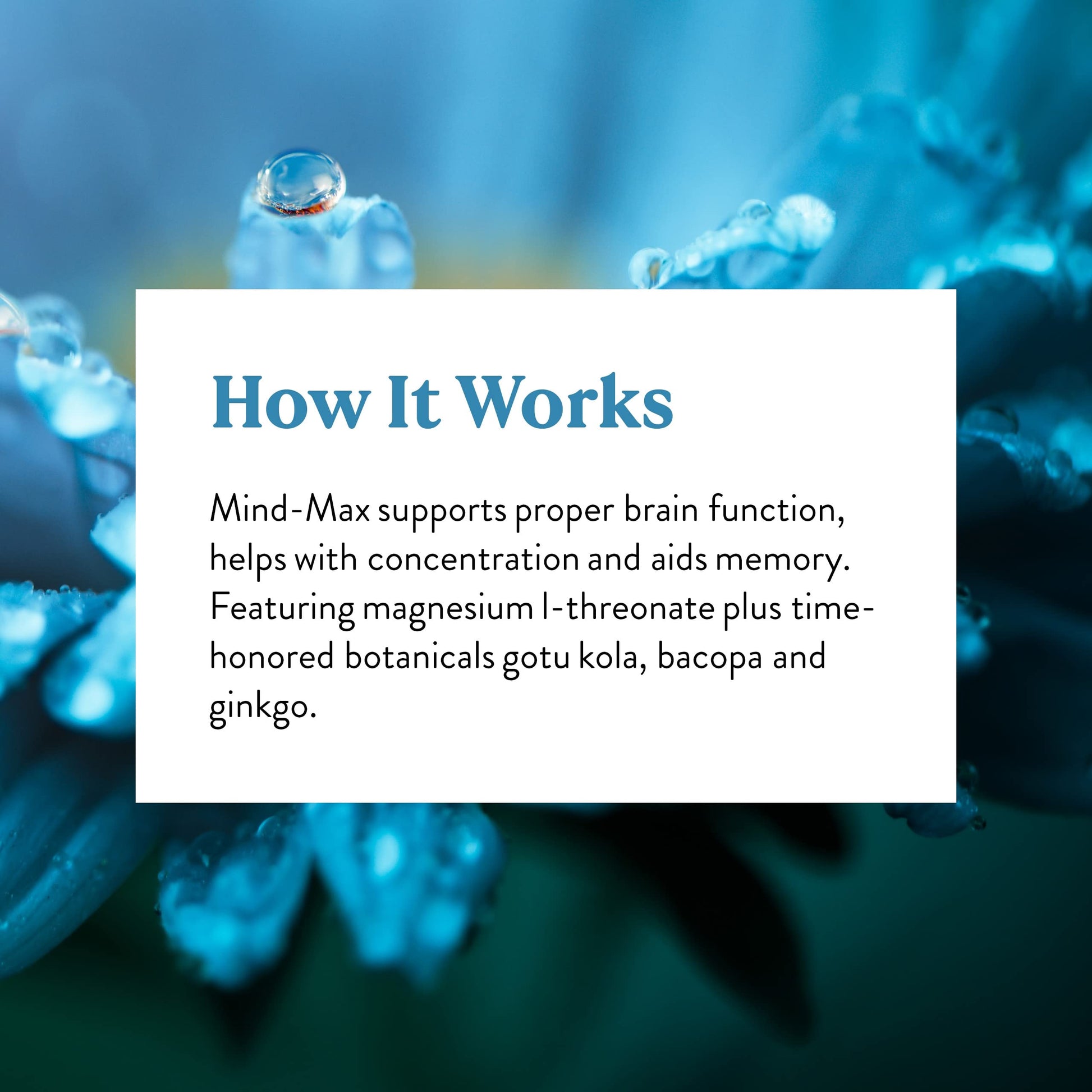 Nature's Sunshine Mind-Max 90 Capsules Nature's Sunshine Au supplements