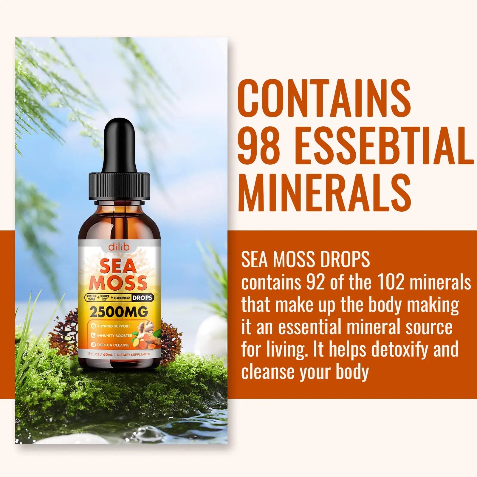 Sea Moss Liquid Drops: Organic Irish Sea Moss 2500mg with Turmeric, Bladderwrack dilib Au supplements