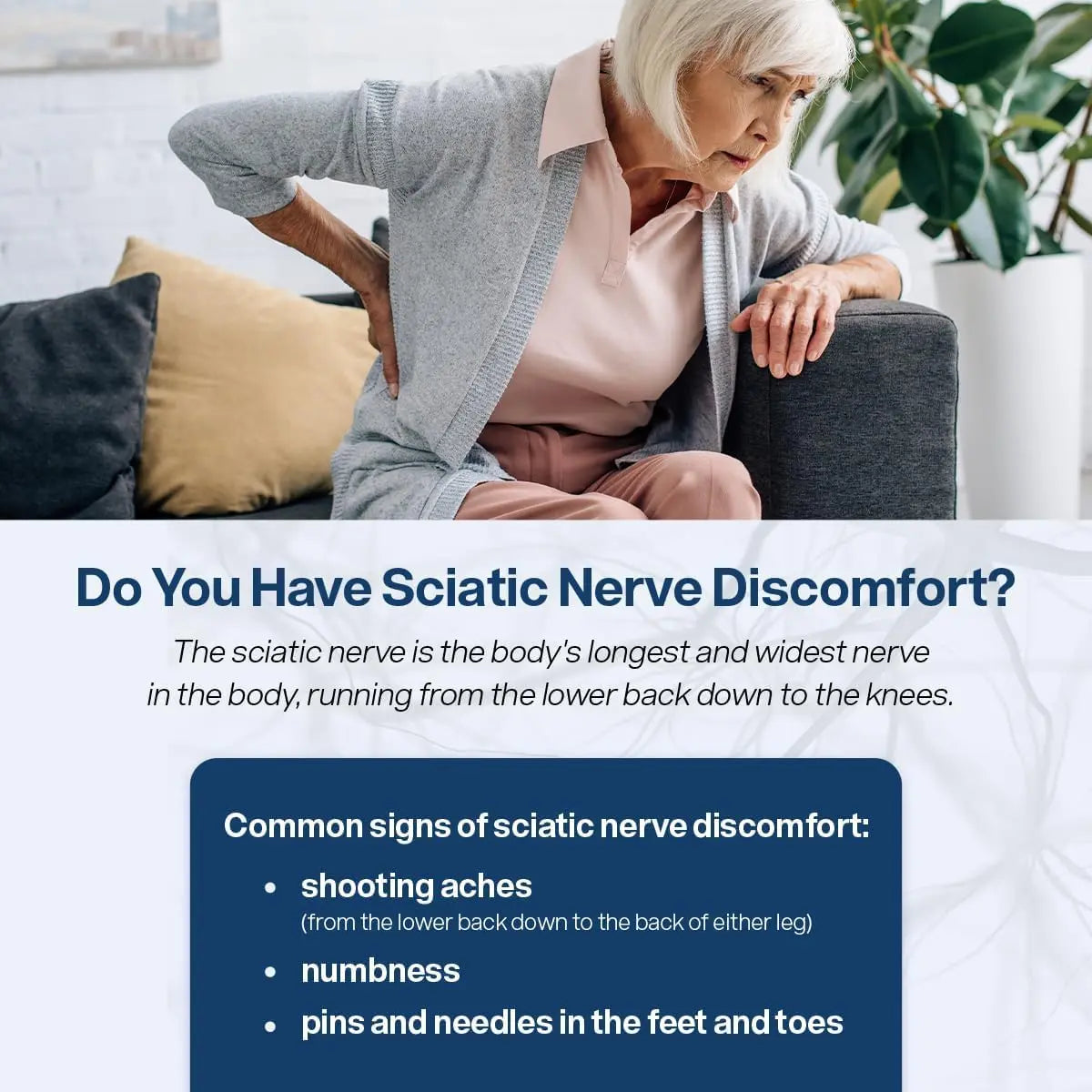 SciatiEase Sciatic Nerve Health Support Sciatic Nerve Supplement SciatiEase Au supplements