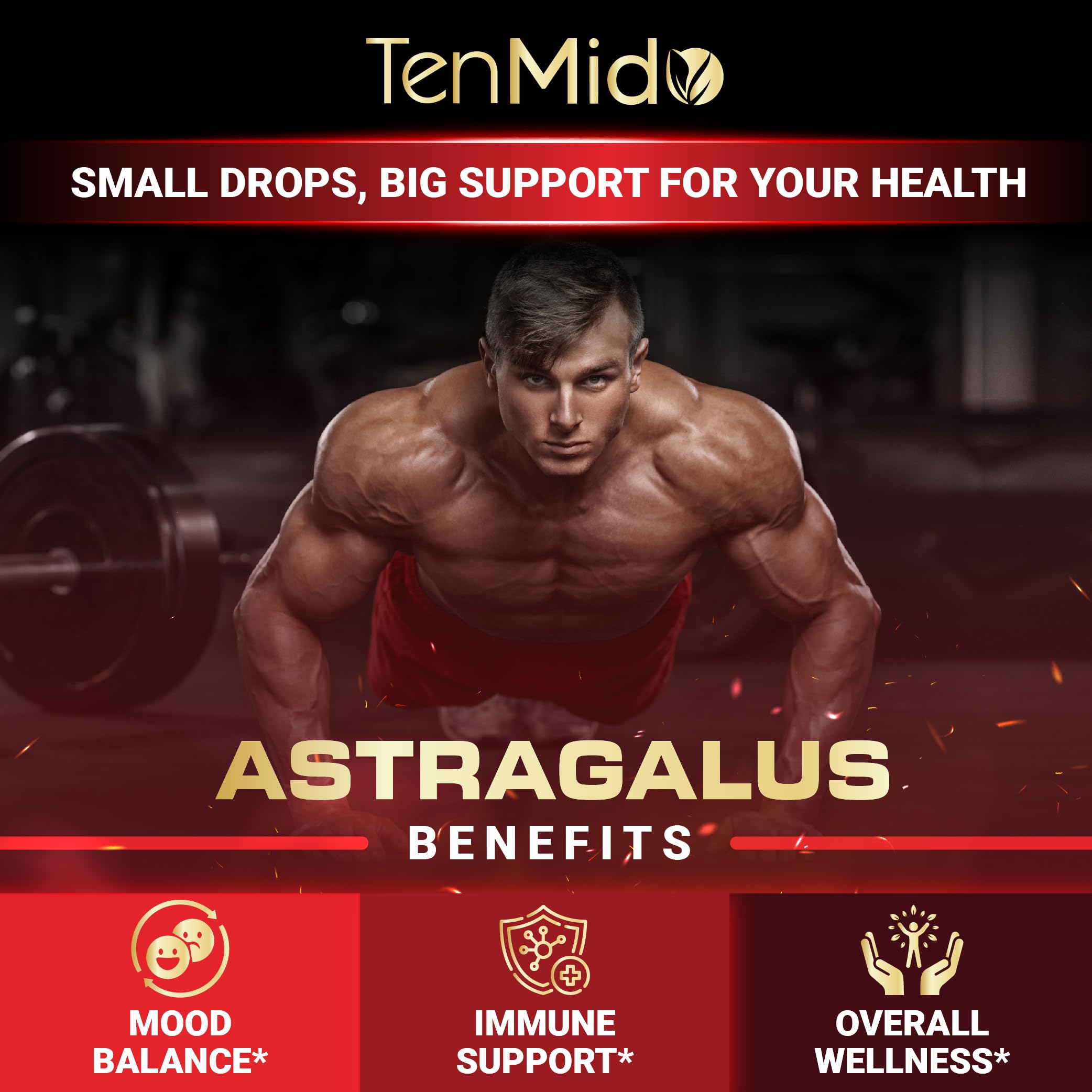 Tenmido 6-in-1 Astragalus Root Tincture - Herbal Extract Supplements with Quercetin, Rhodiola Rosea, Vitamin D3, Vitamin C, and Zinc - Vegan, Non-GMO - 30ml 1 Fl Oz Tenmido Au supplements
