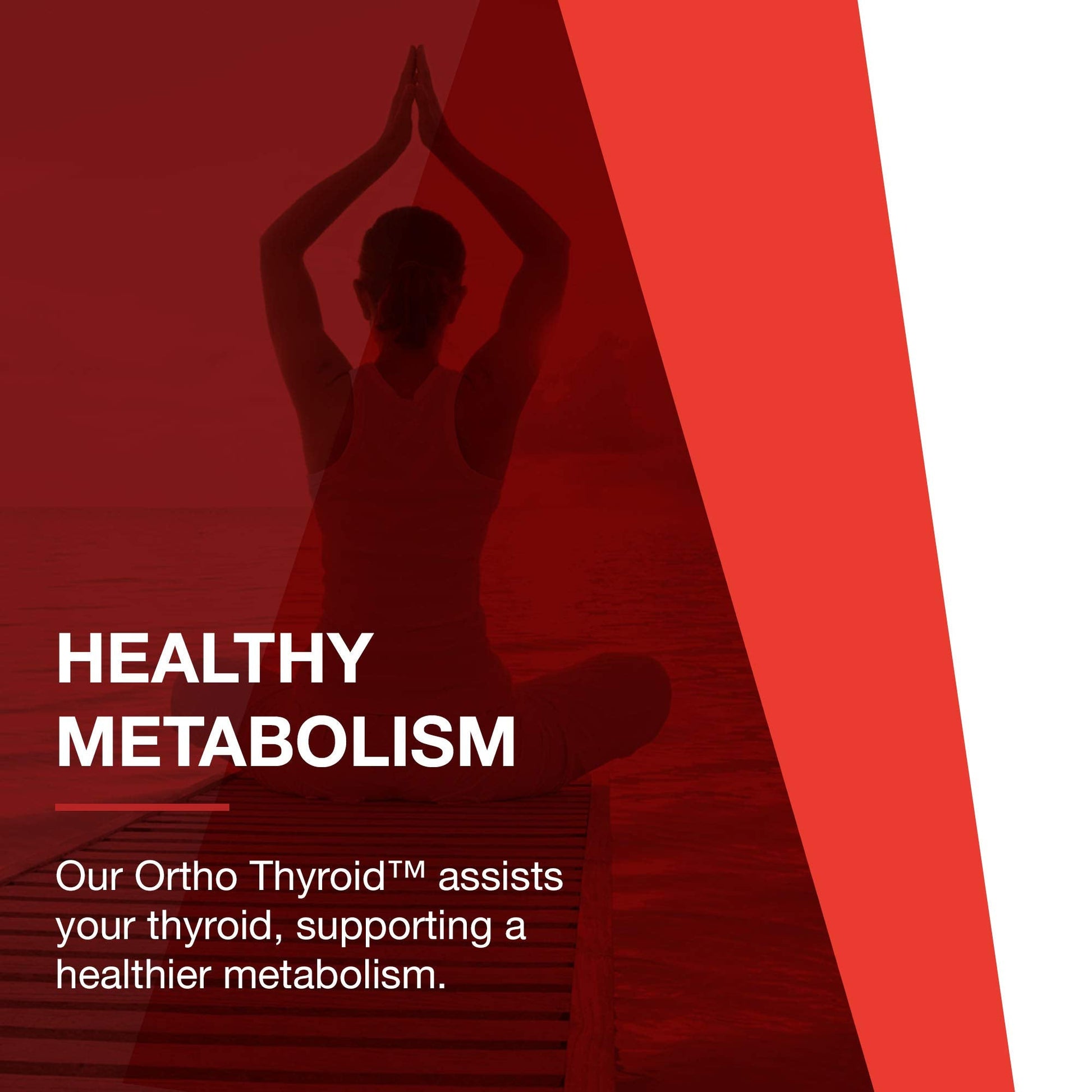 PROTOCOL FOR LIFE BALANCE Ortho Thyroid - Supports Healthy Thyroid Function* - with Ashwagandha, Zinc & Selenium - Non-GMO & Kosher - 90 Veg Capsules PROTOCOL FOR LIFE BALANCE Au supplements