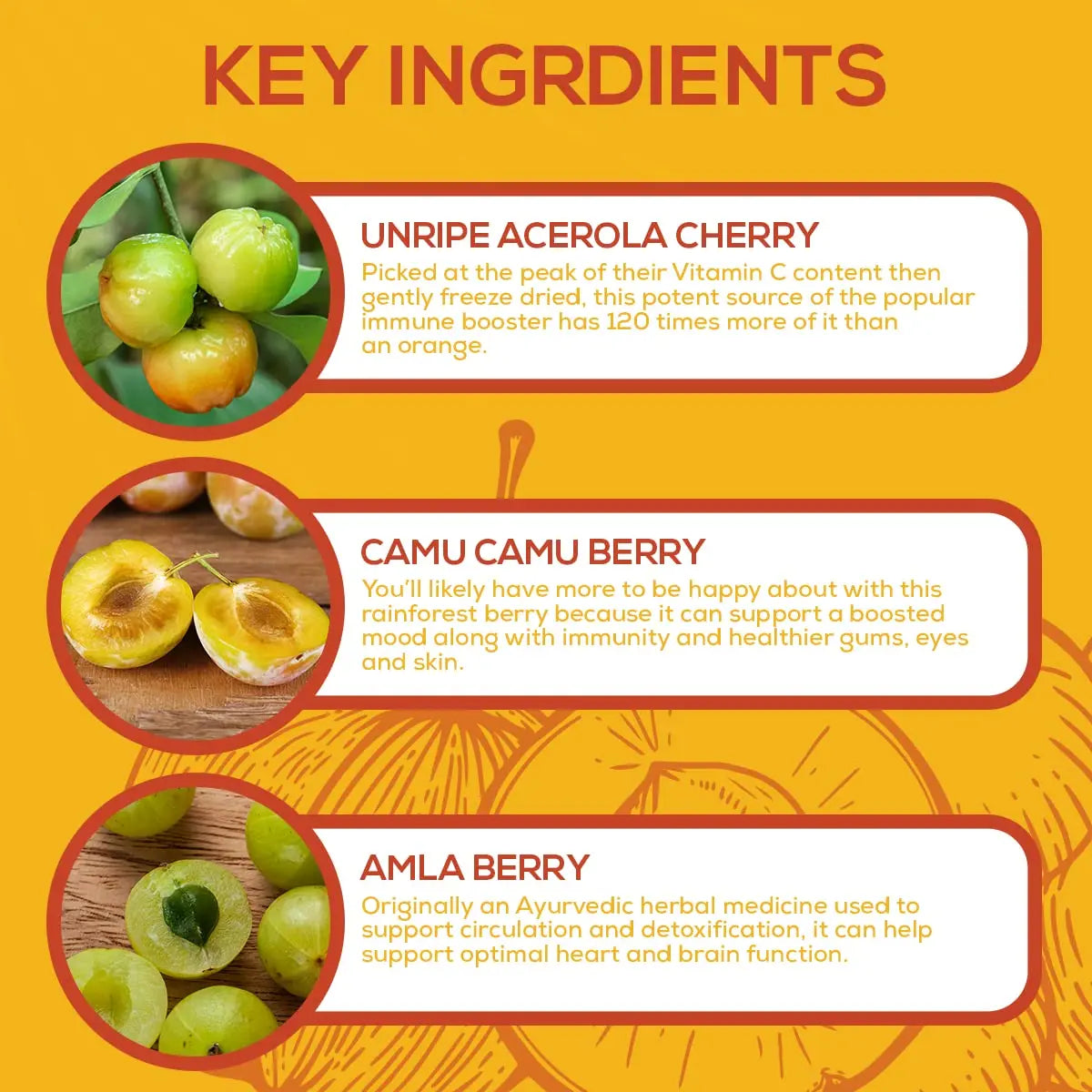 Paleovalley Essential C Complex - Vitamin C Supplement for Immune Support - 1 Pack, 450mg - Organic Superfoods Unripe Acerola Cherry, Camu Camu, Amla Berry Paleovalley Au supplements