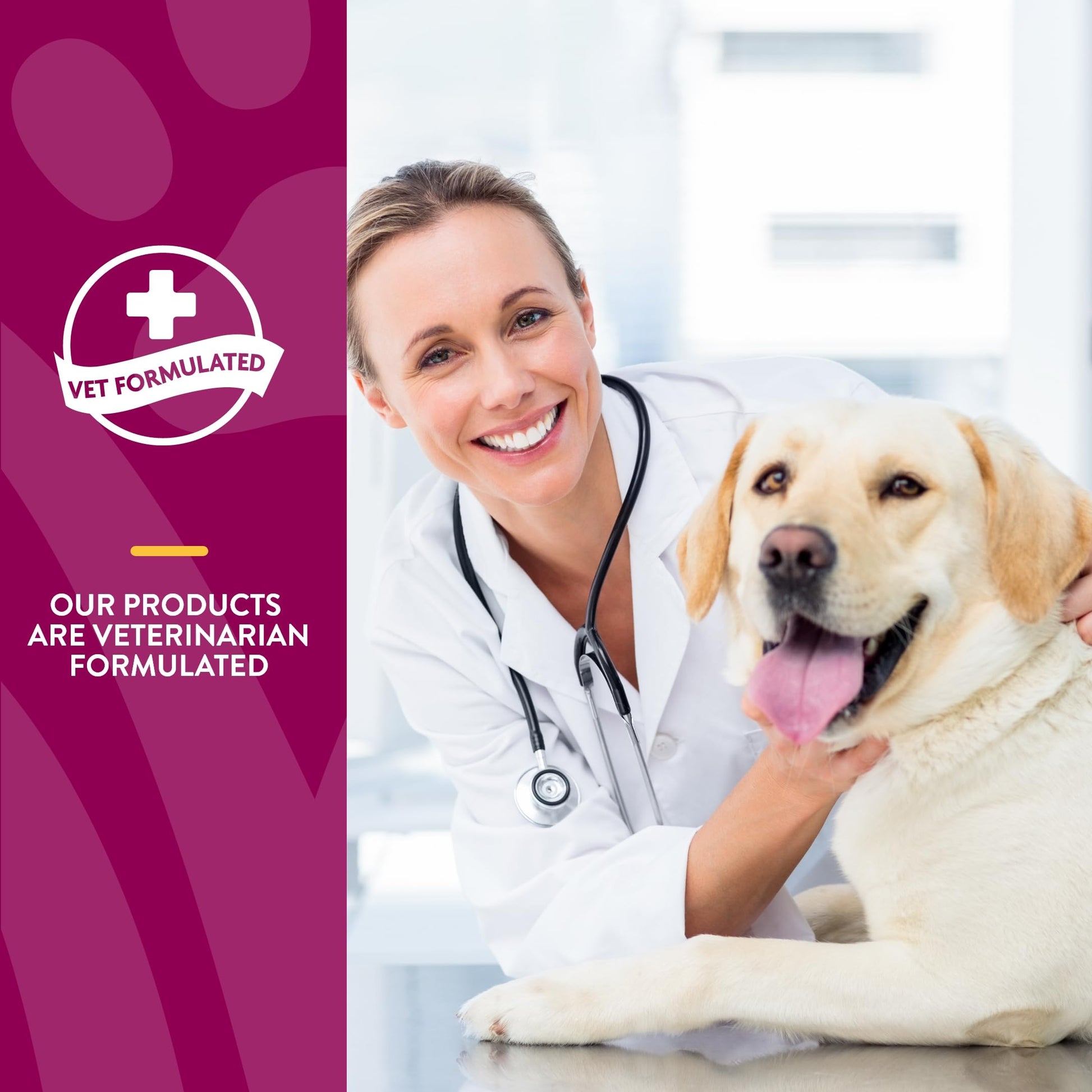 NaturVet – Glucosamine DS Plus - Level 2 Moderate Care – Supports Healthy Hip & Joint Function – Enhanced with Glucosamine, MSM & Chondroitin – for Dogs & Cats–120 Soft Chews NaturVet Au supplements