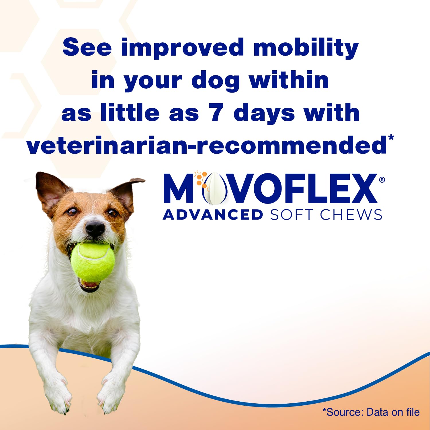 MOVOFLEX Advanced Soft Chews Hip Joint Support Supplement for Large Dogs 60 Count by Virbac MOVOFLEX Au supplements