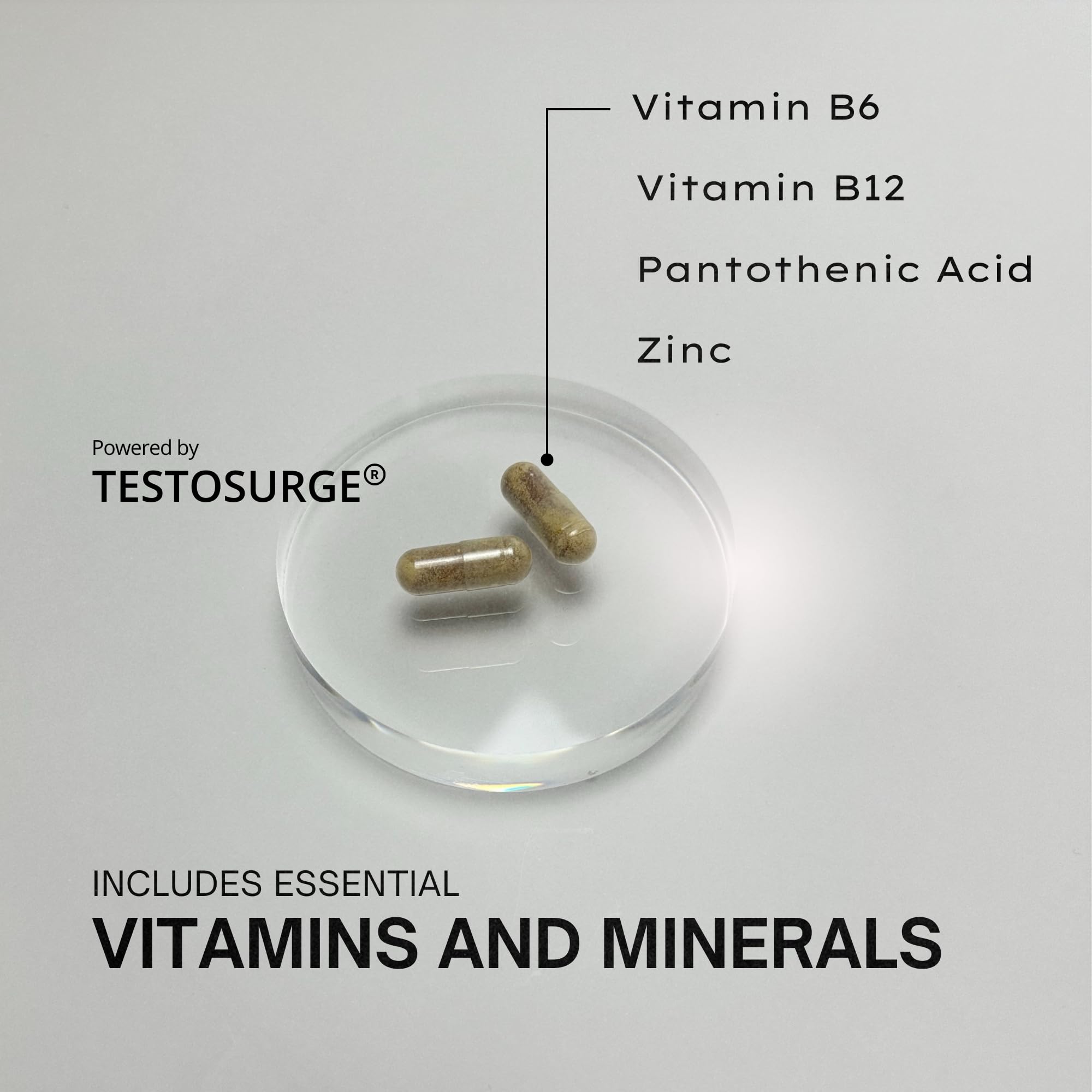 EPIC-T Testosterone Support Supplement for Men | Plant-Based Formula with Testosurge, B-Complex, B12, Zinc & Boron | Vegan, Non-GMO Daily Support EPIC Au supplements